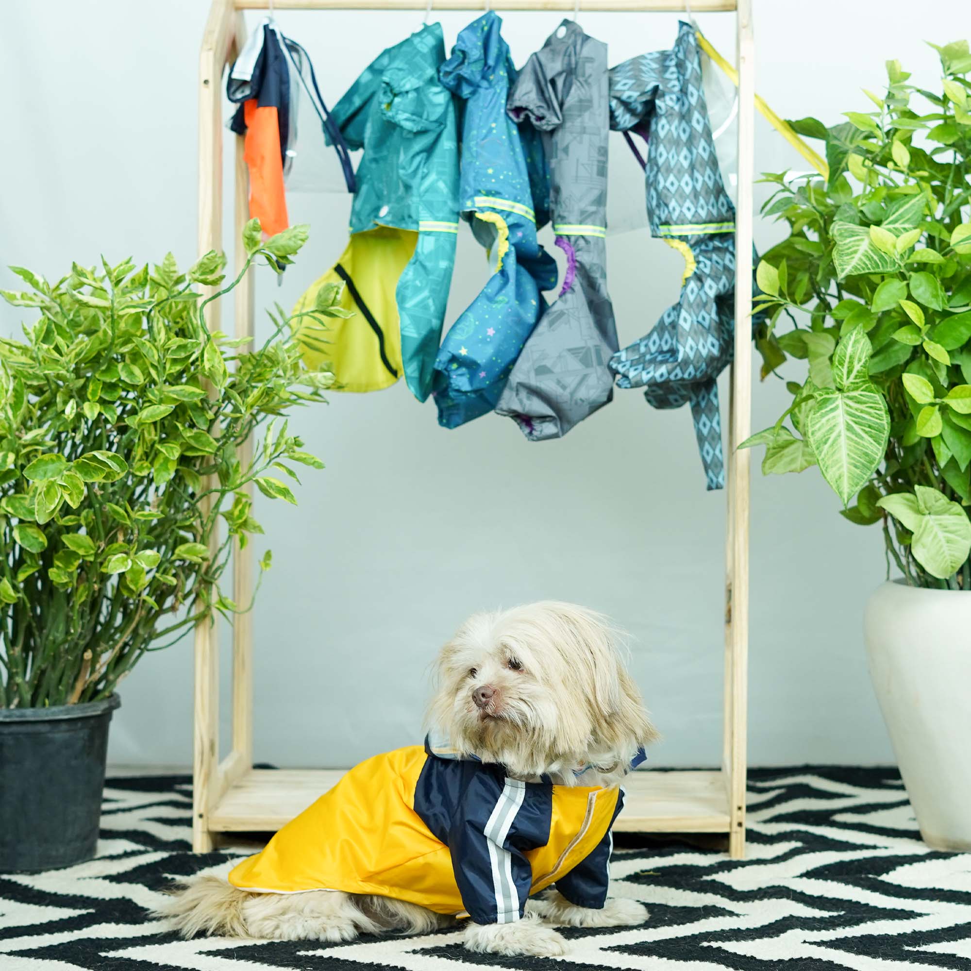 Rainstorm Dog Raincoat-Canary
