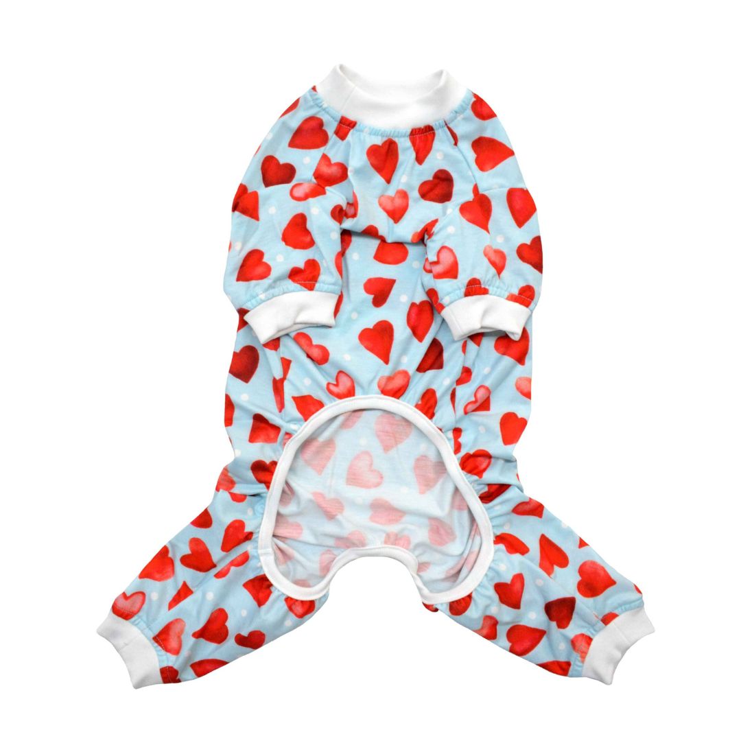 front side of Little Heart-Printed Dog Jumpsuit-petsway