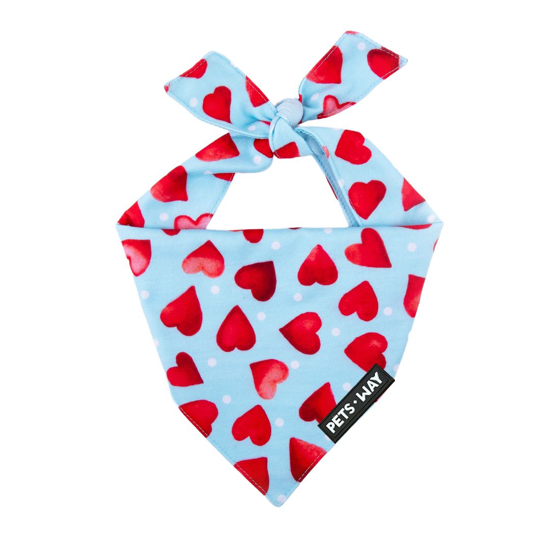 Little Heart Bandana-petsway