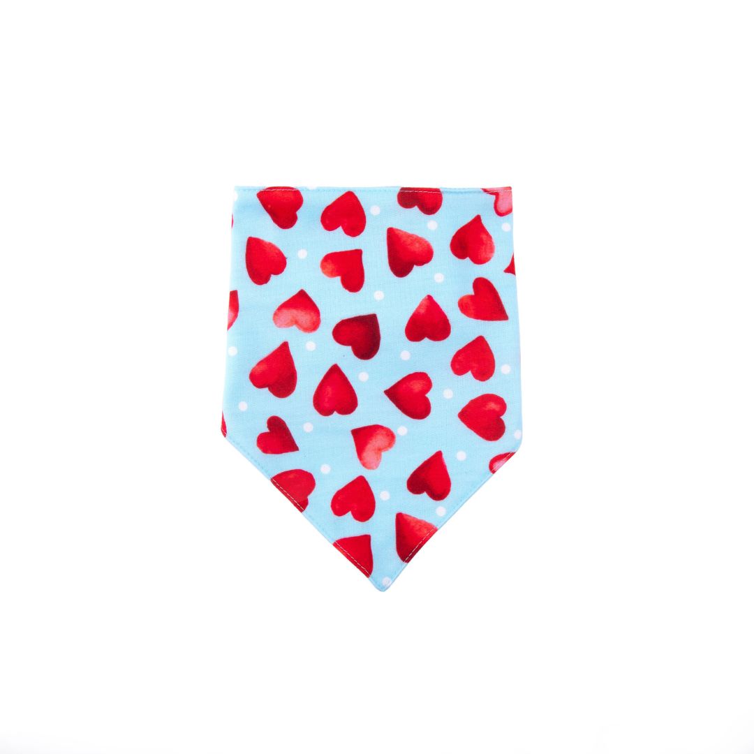 front of Little Heart Bandana-petsway