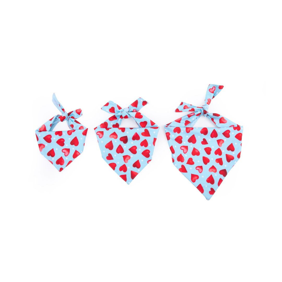 sizes of Little Heart Bandana-petsway