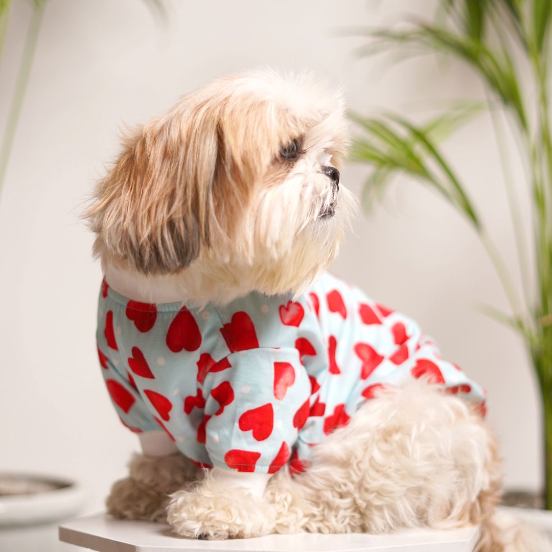 dog wear Heart Dog T-Shirt-petsway
