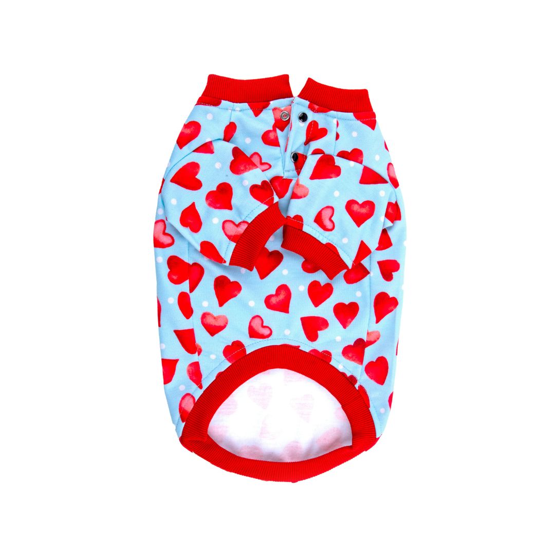 Front of Little Heart Sweatshirt Petsway