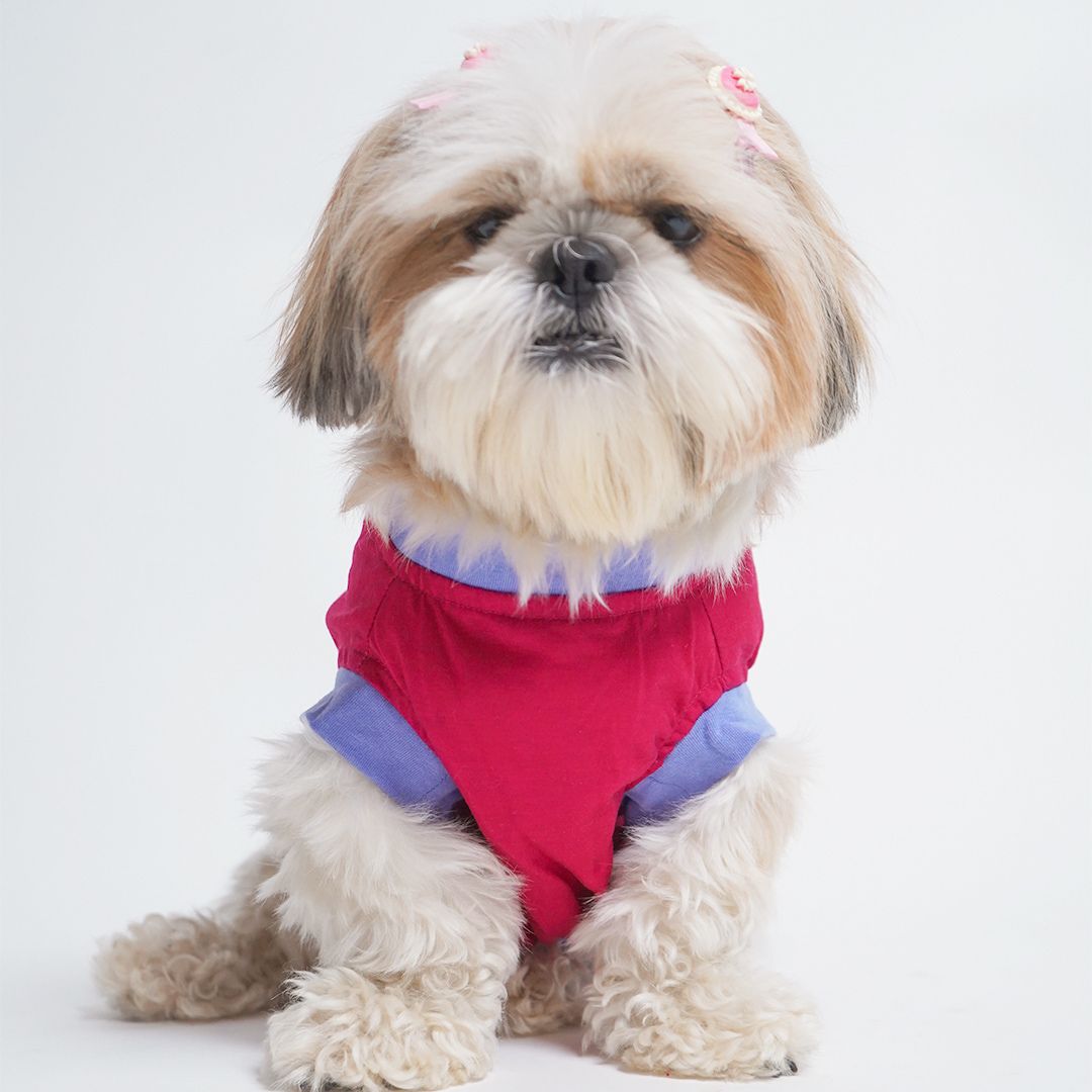 Petsway dog t-shirts with cool graphics