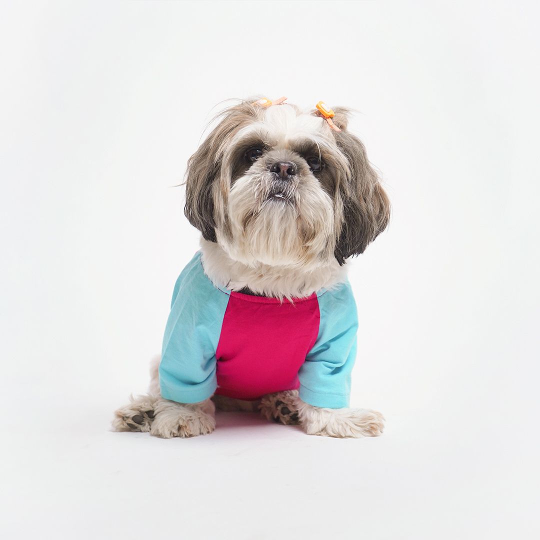 dog wear Magenta Dog T-Shirt-petsway