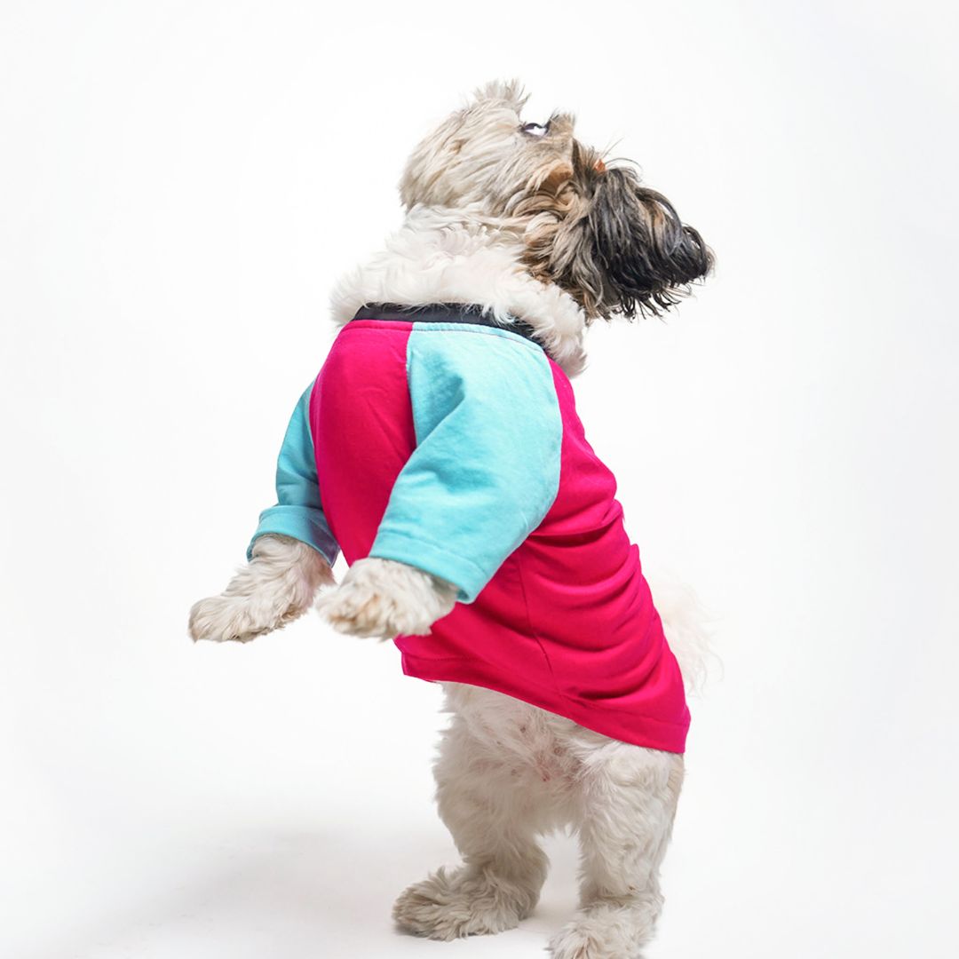 standing dog wear Magenta Dog T-Shirt-petswa