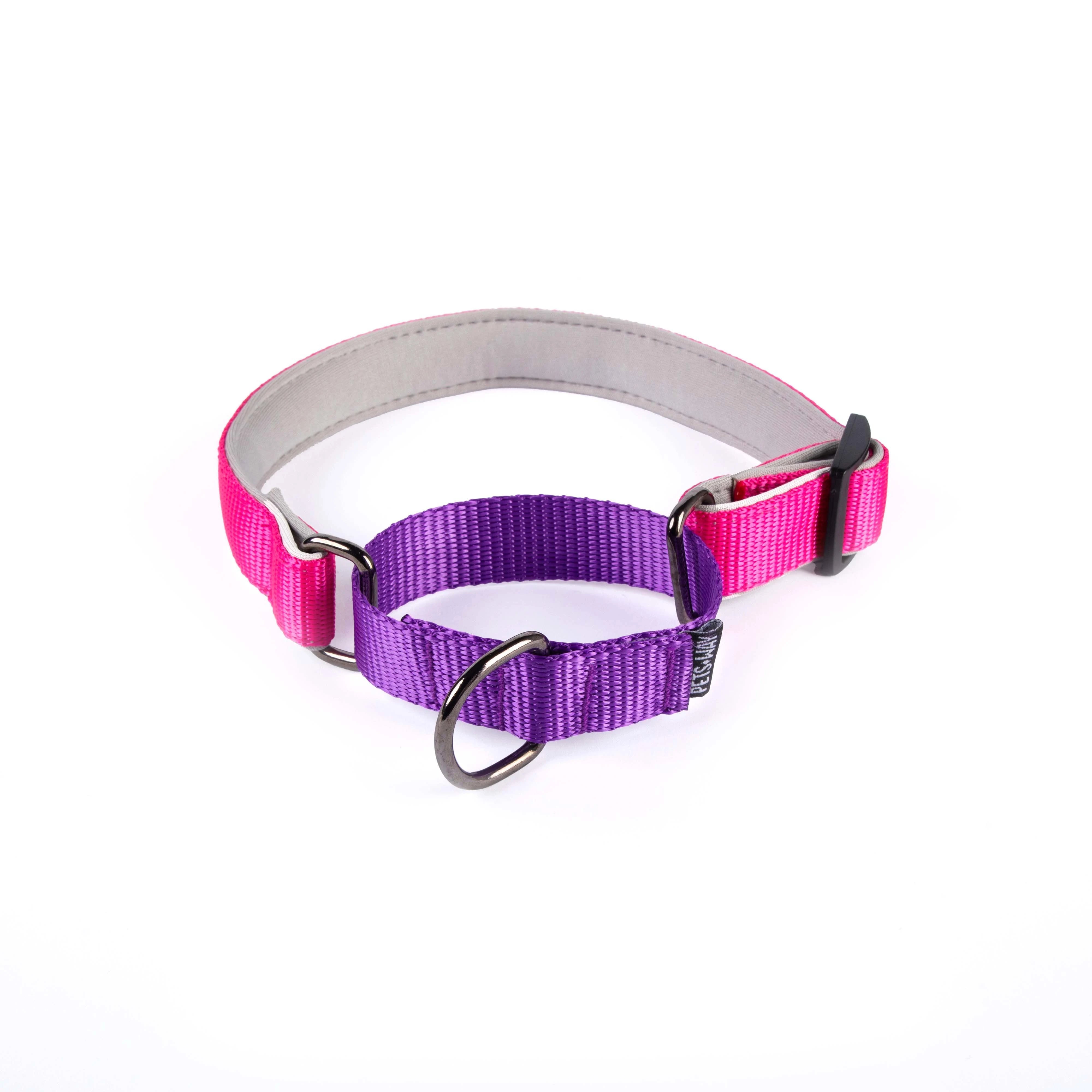 Fuschia & Amethyst -Martingale Dog Collar