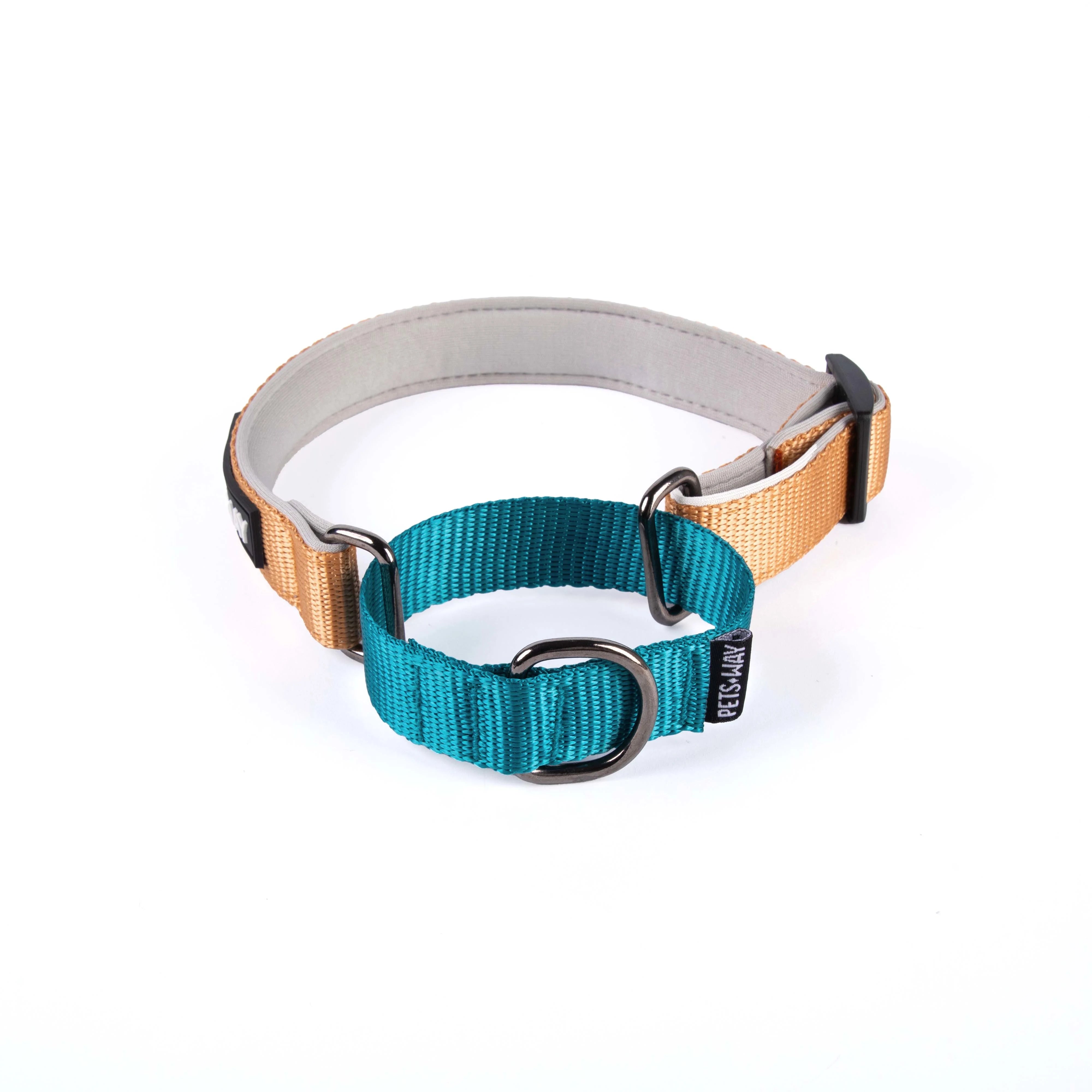 Honey & Emerald -Martingale Dog collar