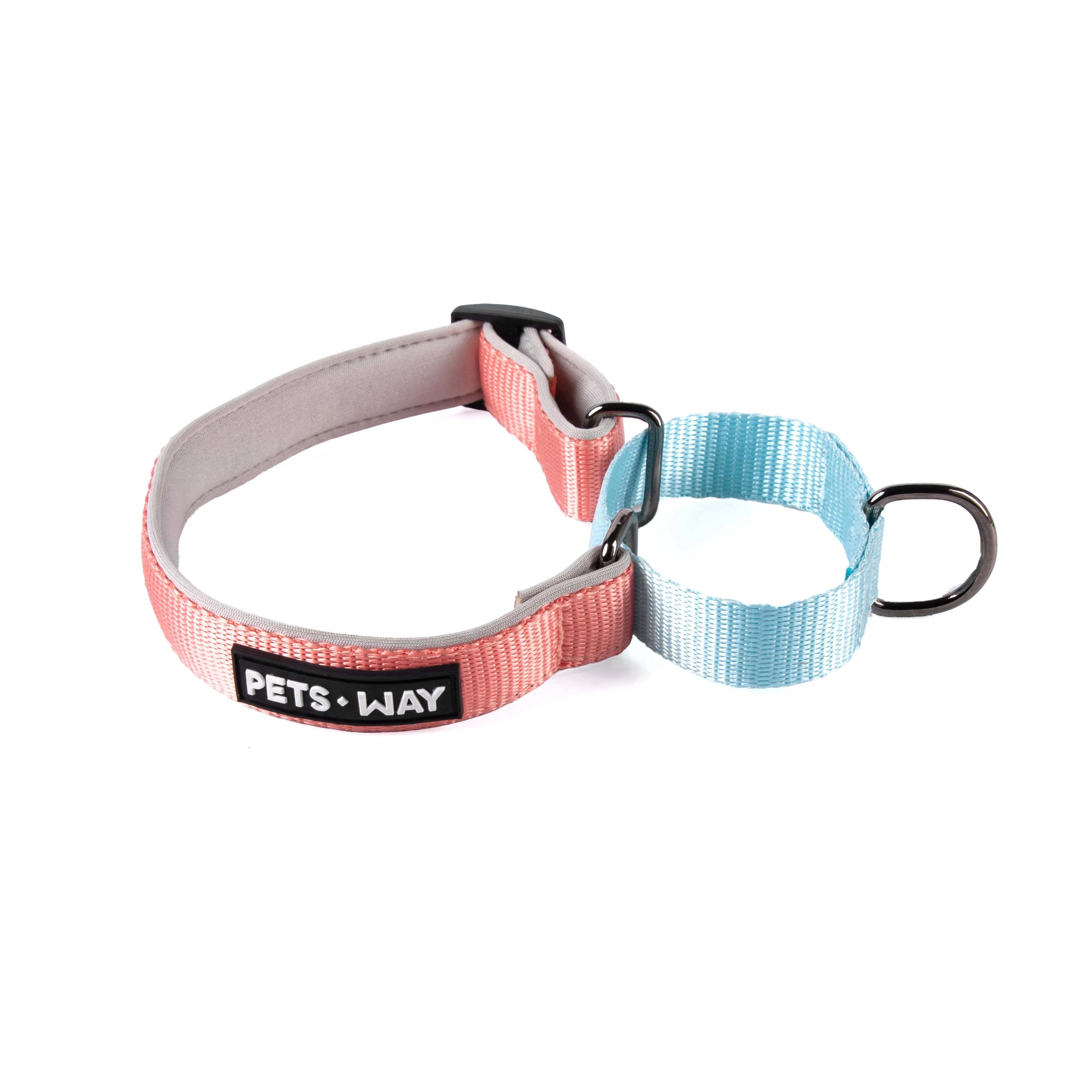 Peach & Sky Martingale Dog Collar