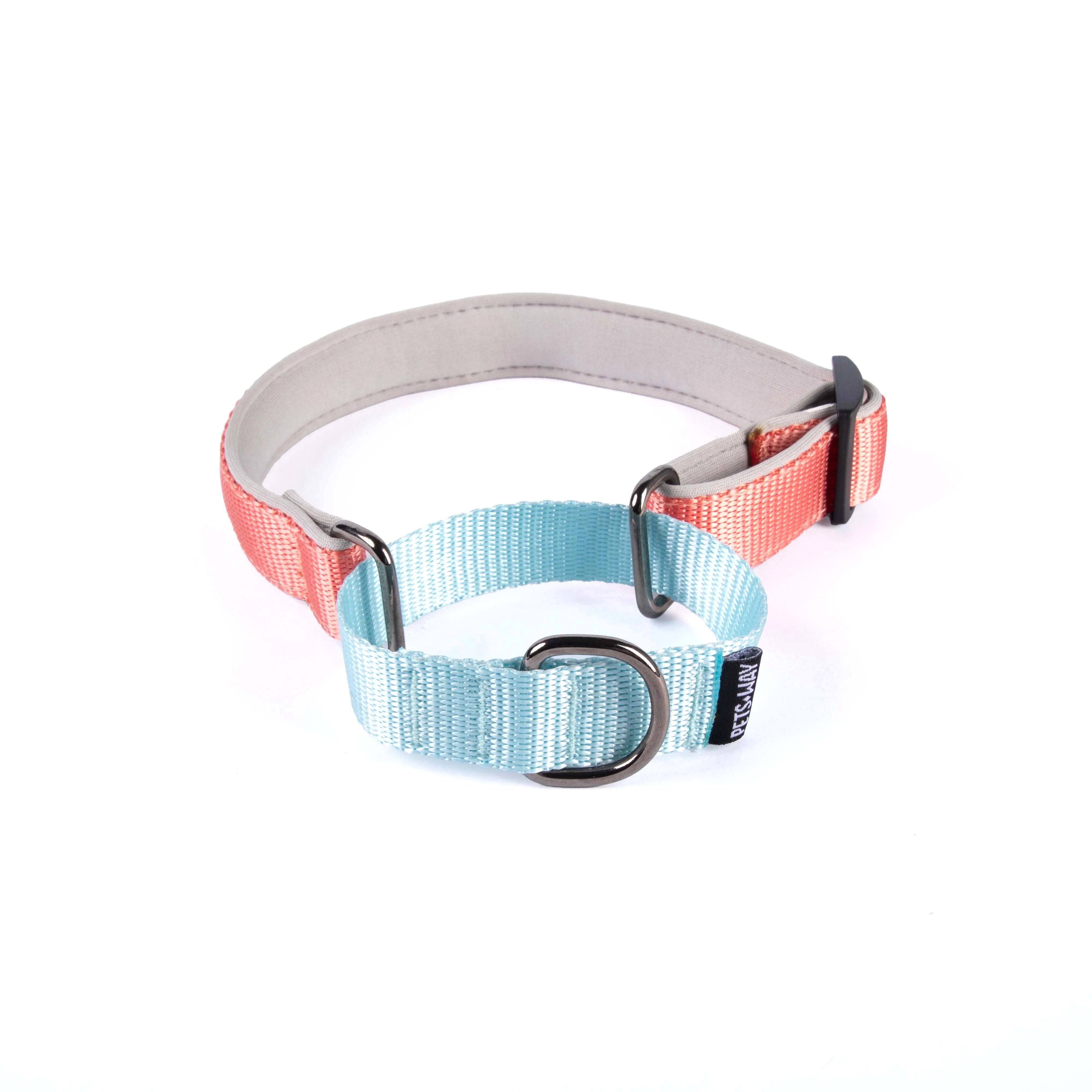 Peach & Sky Martingale Dog Collar
