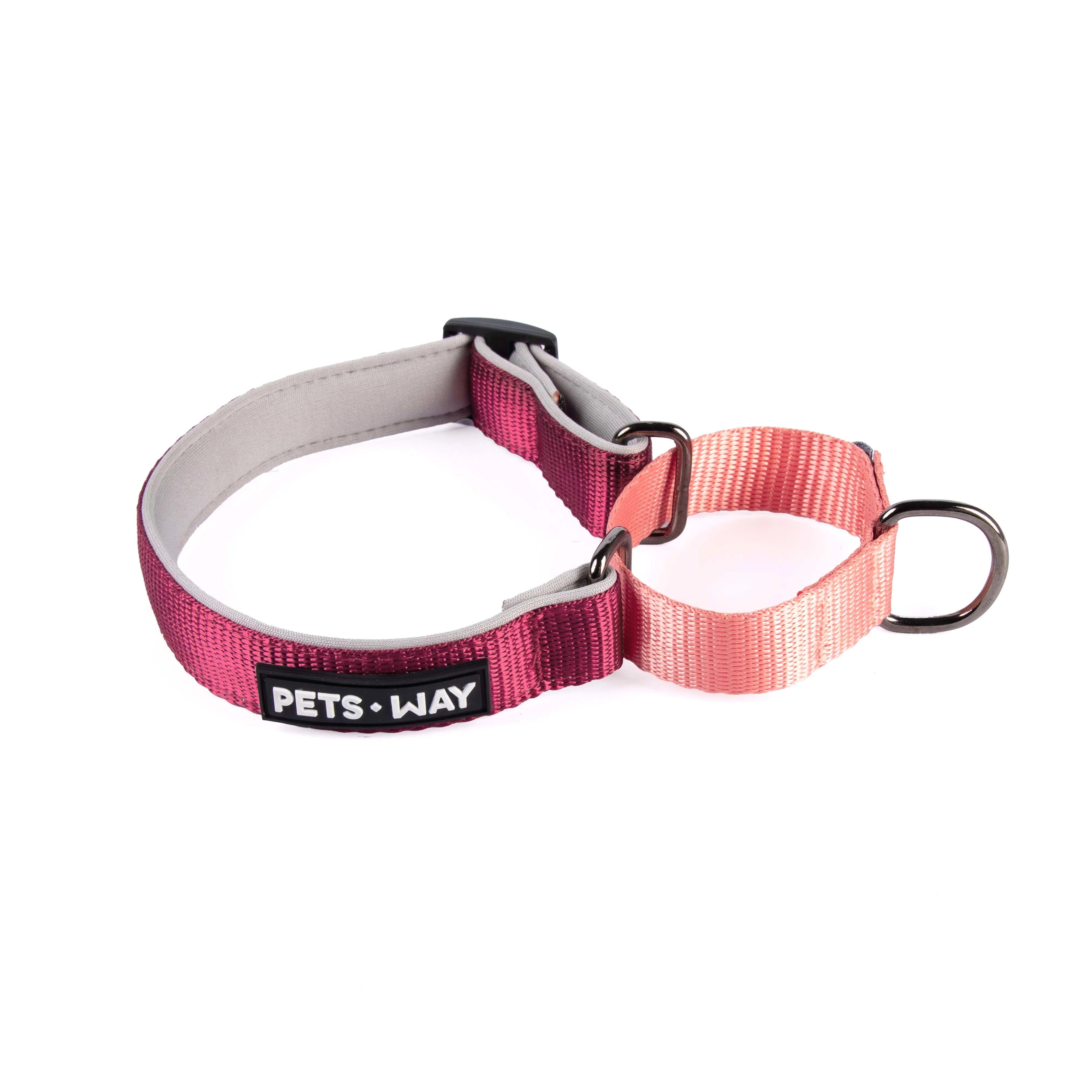 Wine & Peach Martingale Dog Collar