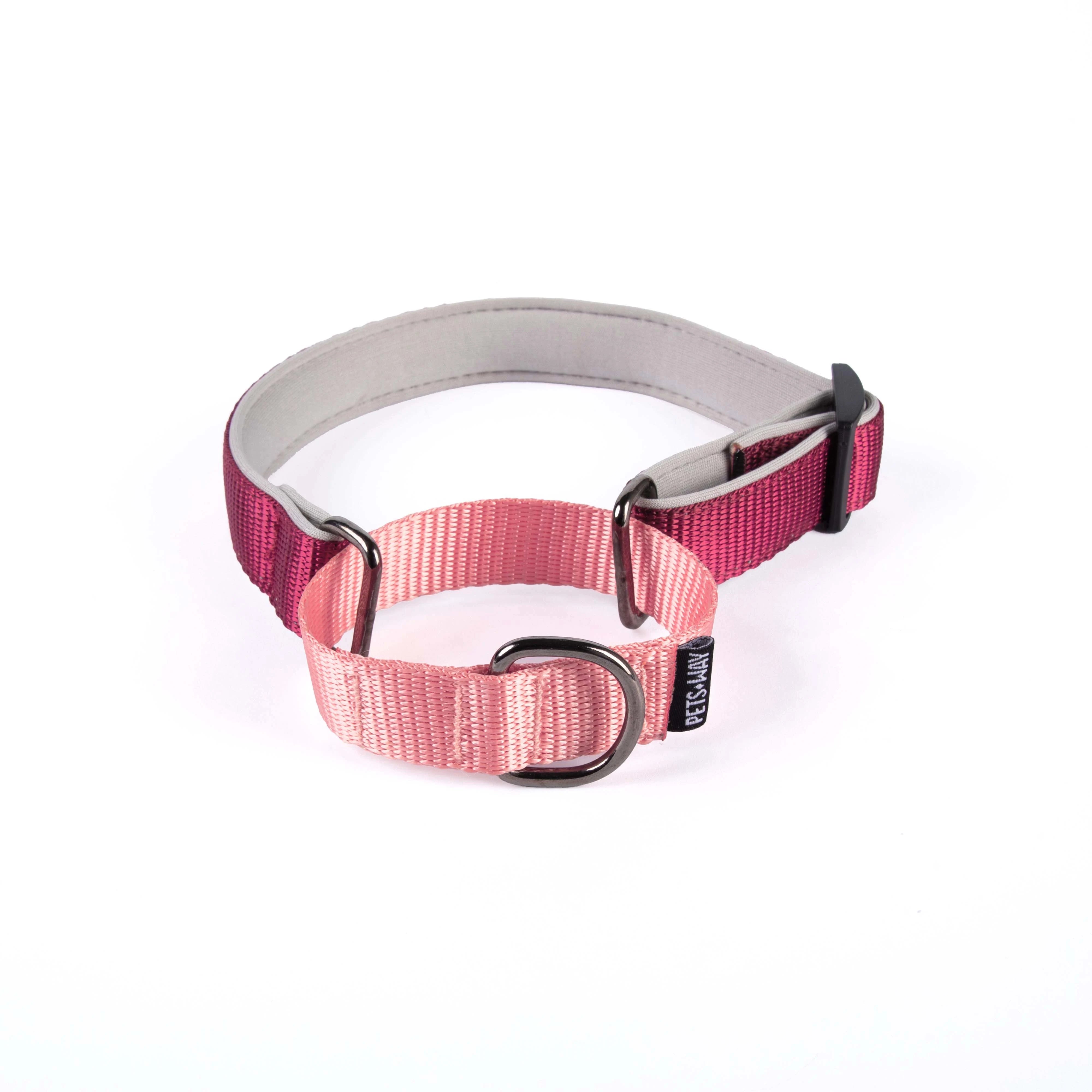 Wine & Peach Martingale Dog Collar