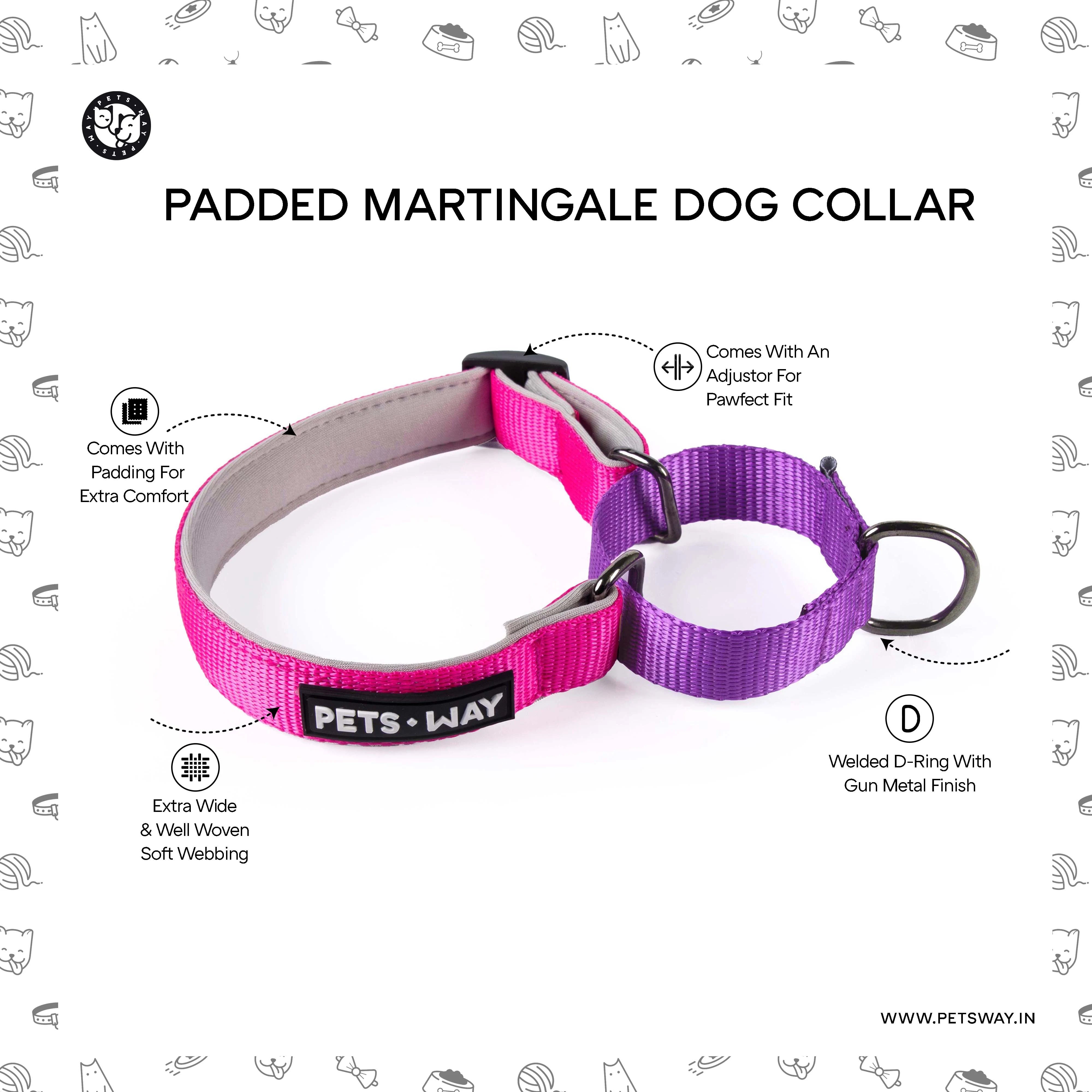 Peach & Sky Martingale Dog Collar