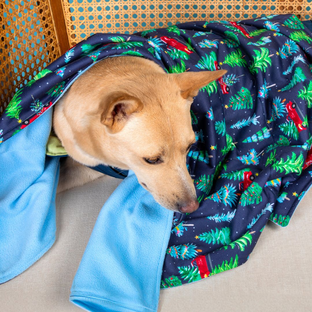 Cozy Mistletoe Blanket Petsway