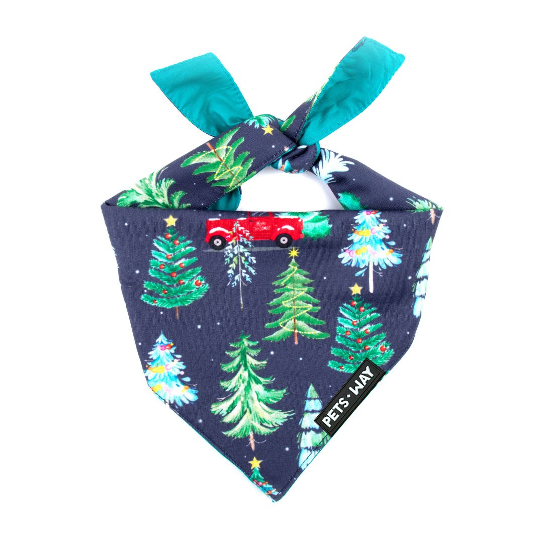 Mistletoe Satin Bandana-petsway