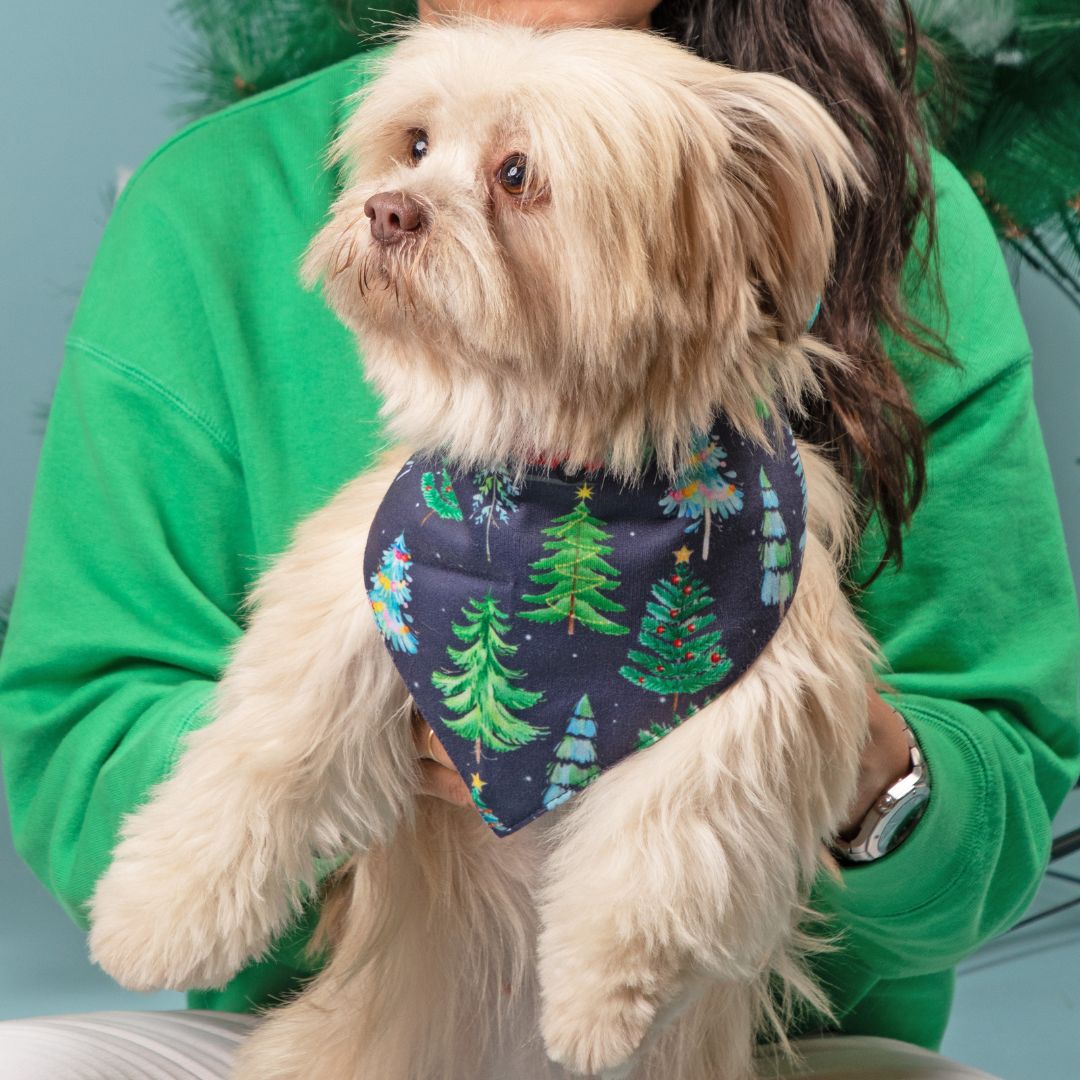 dog wear Mistletoe Satin Bandana-petsway