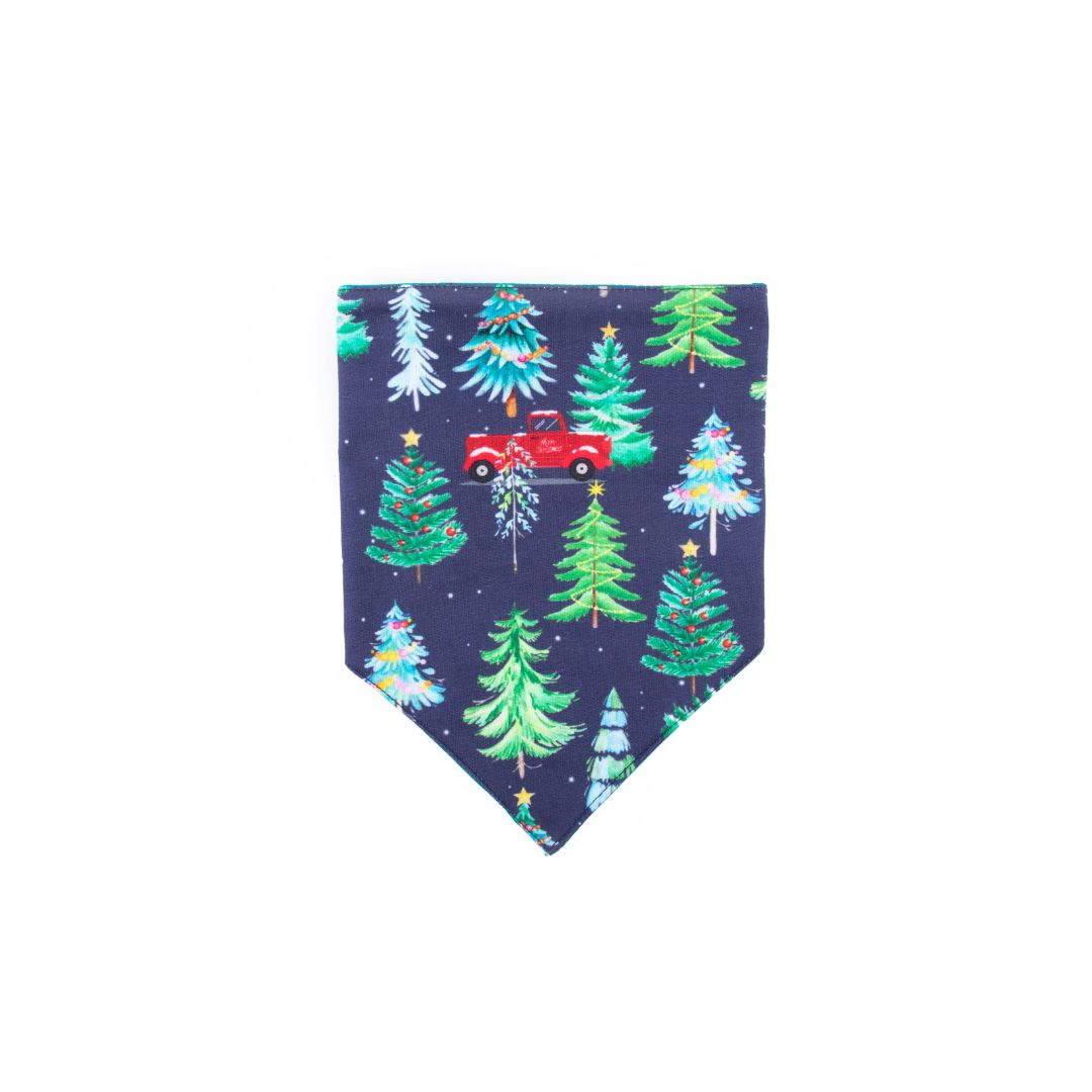 front Mistletoe Satin Bandana-petsway