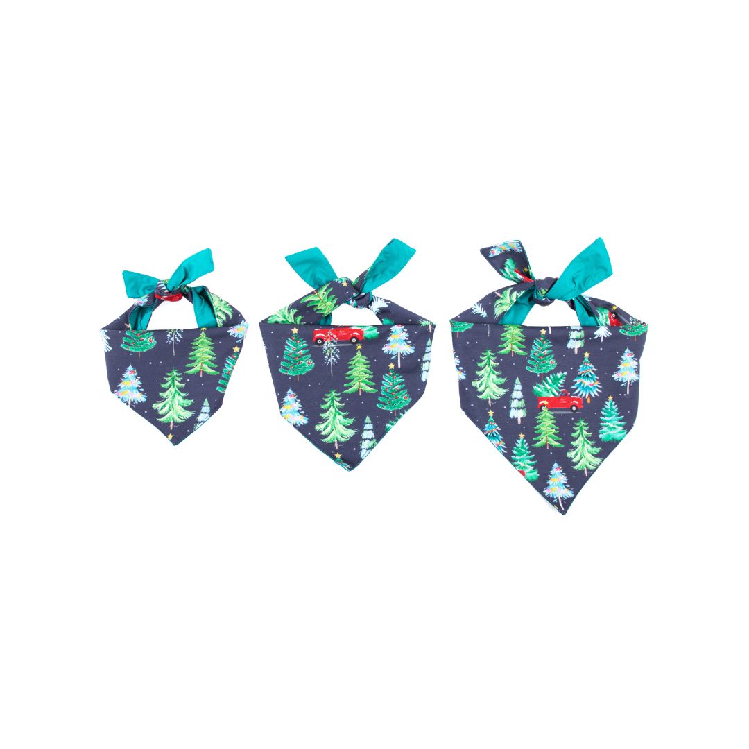 sizes of Mistletoe Satin Bandana-petsway