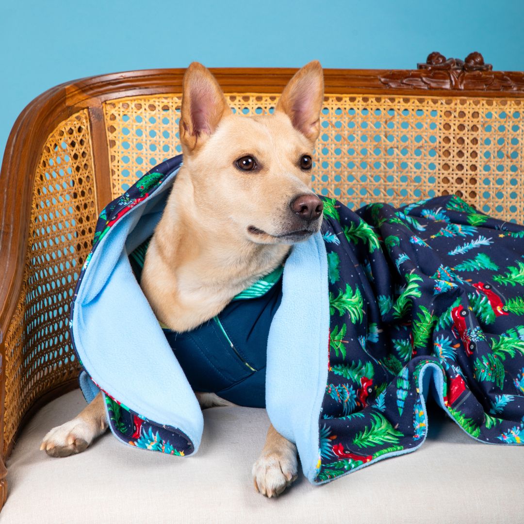 Warm cozy Mistletoe Blanket Petsway