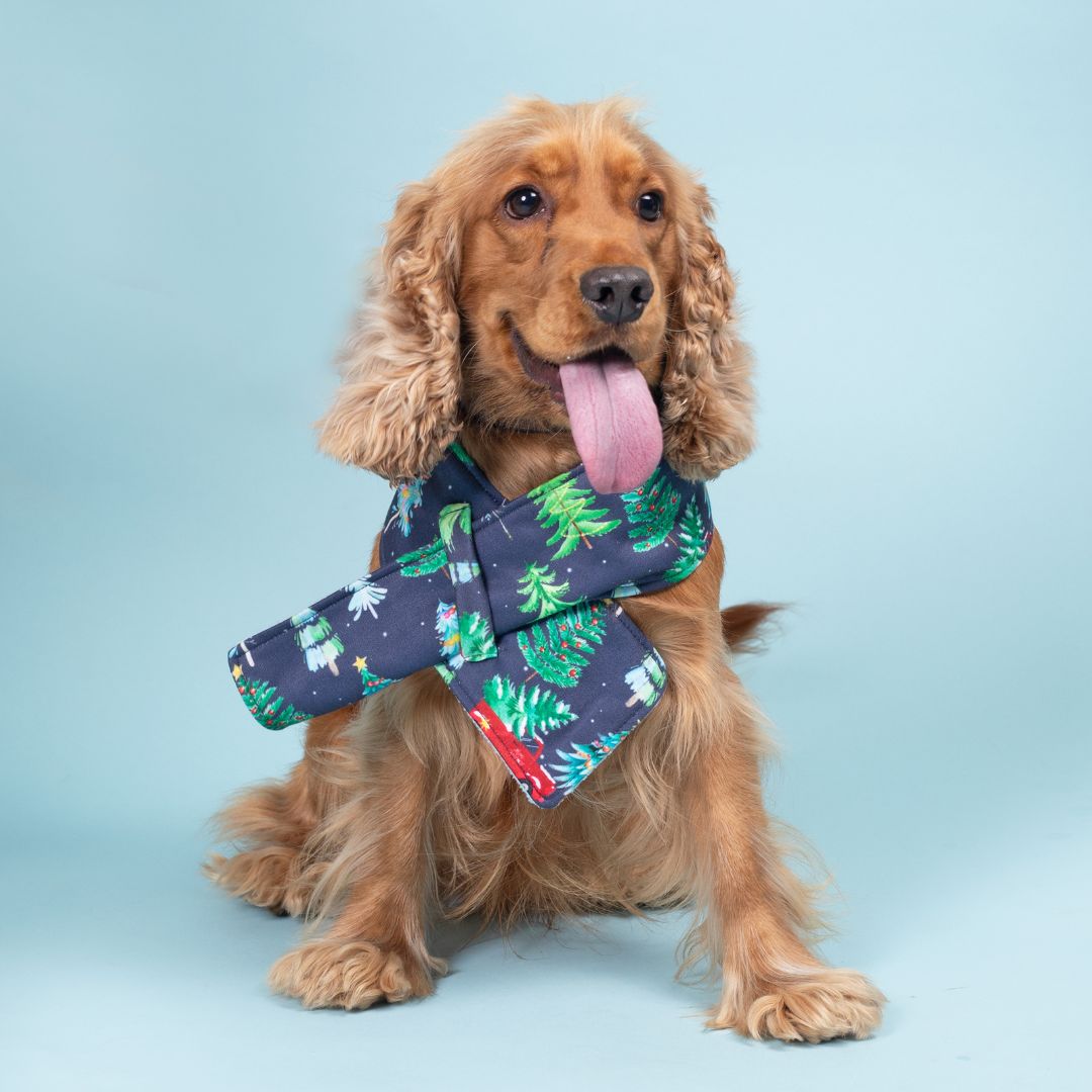 Cozy Mistletoe Dog Scarf Petsway