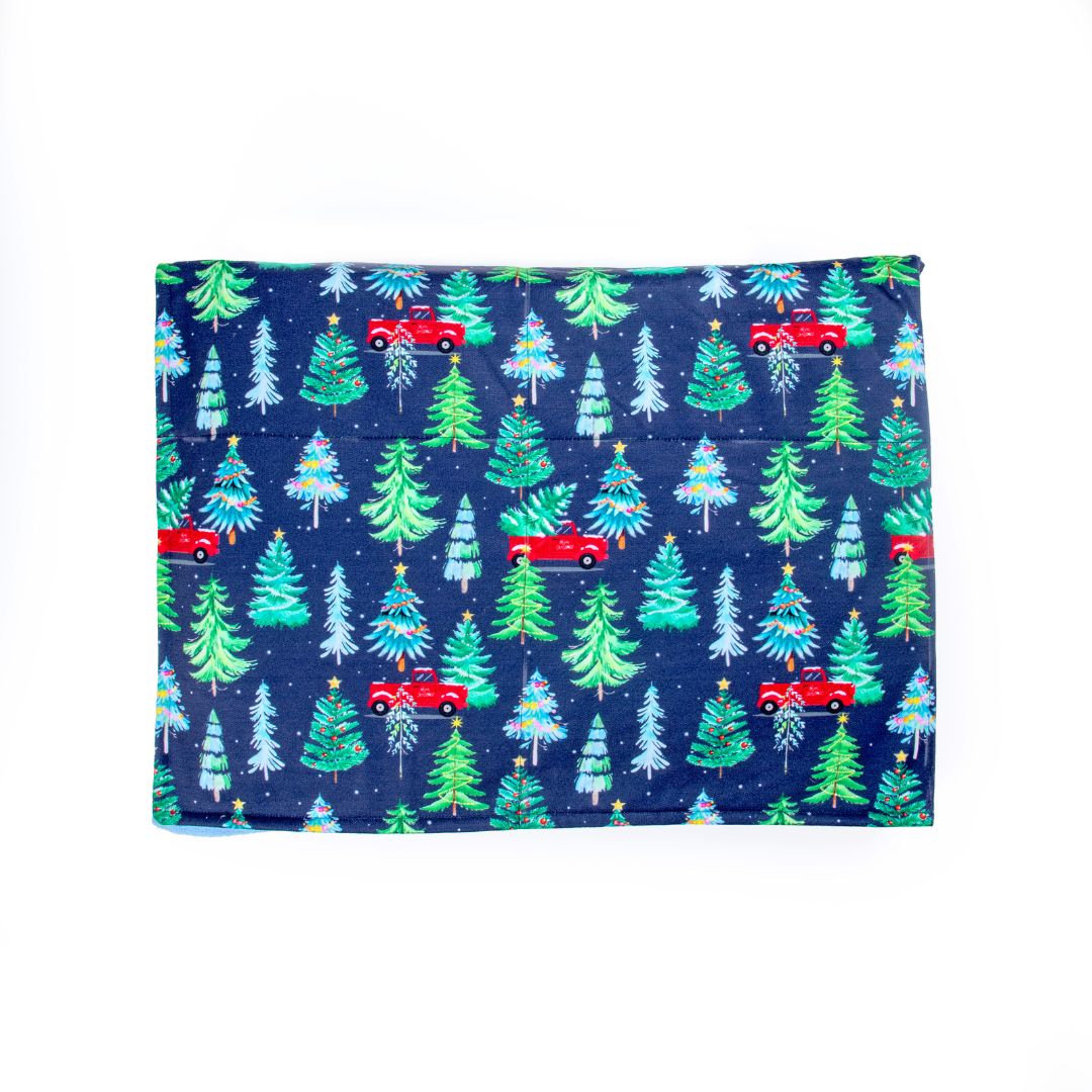 Front Of Mistletoe Blanket Petsway