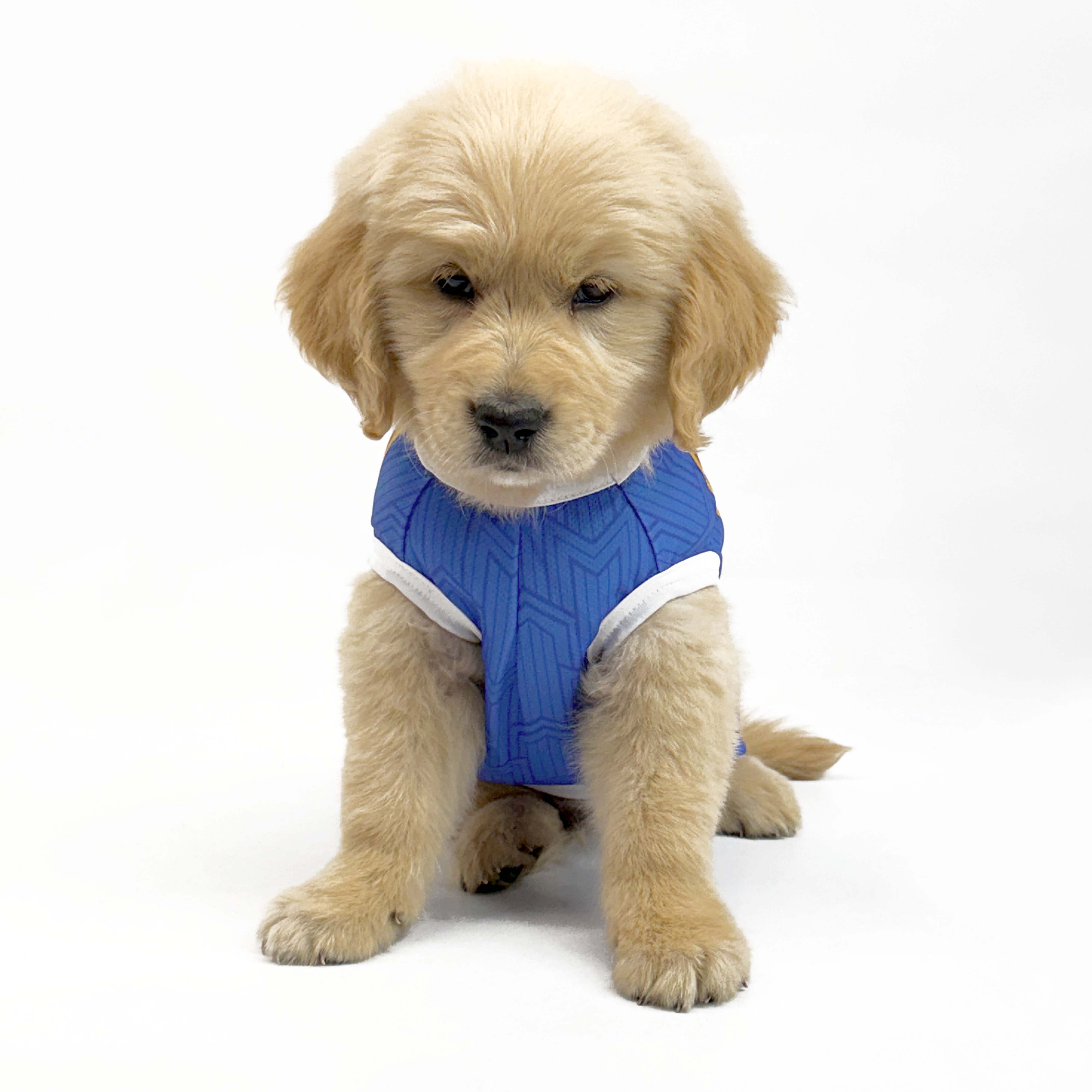 Mumbai Indies IPL (MI) Dog Vest