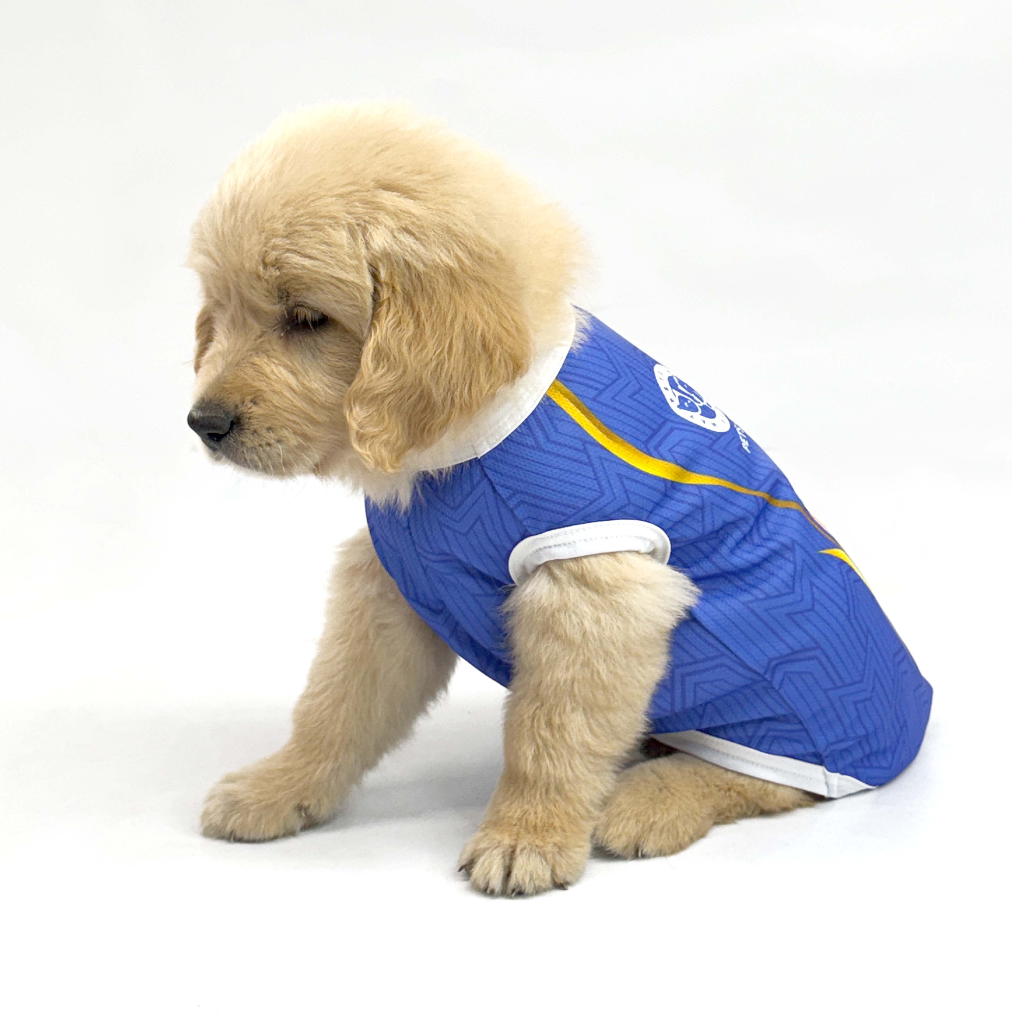Mumbai Indies IPL (MI) Dog Vest