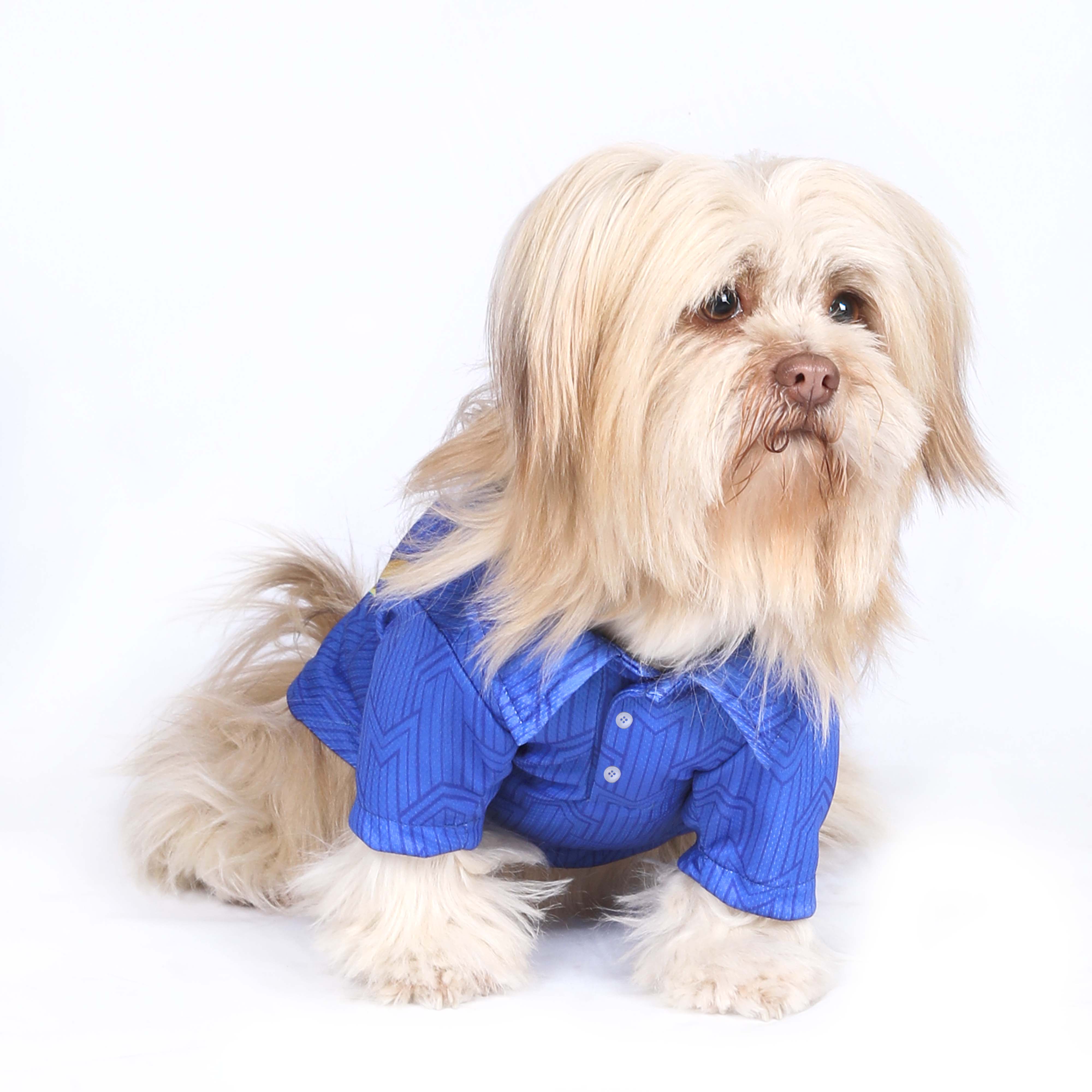 Mumbai Indies - MI IPL Dog Jersey