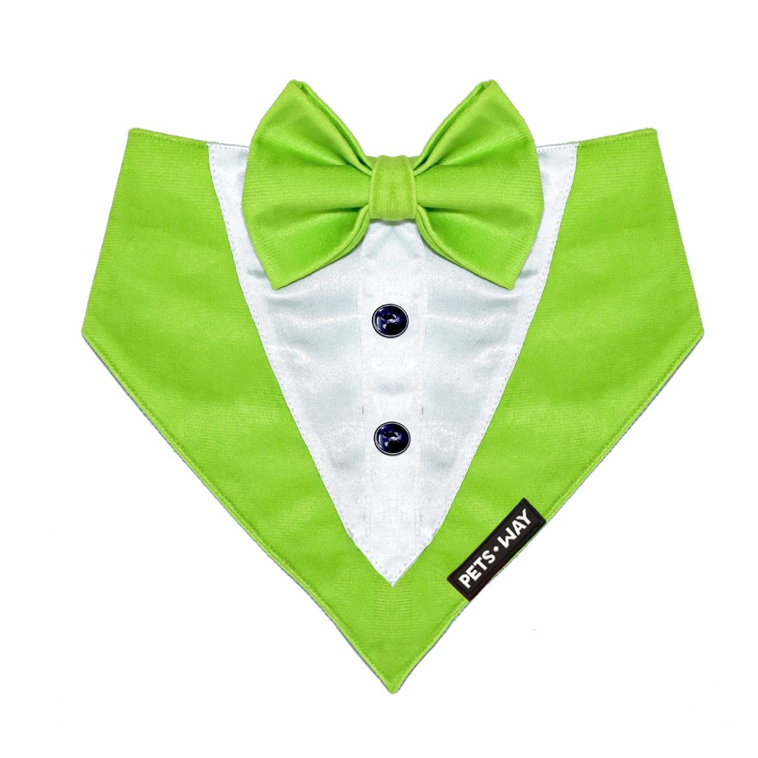 Neon Luxury Velvet Tuxedo-petsway