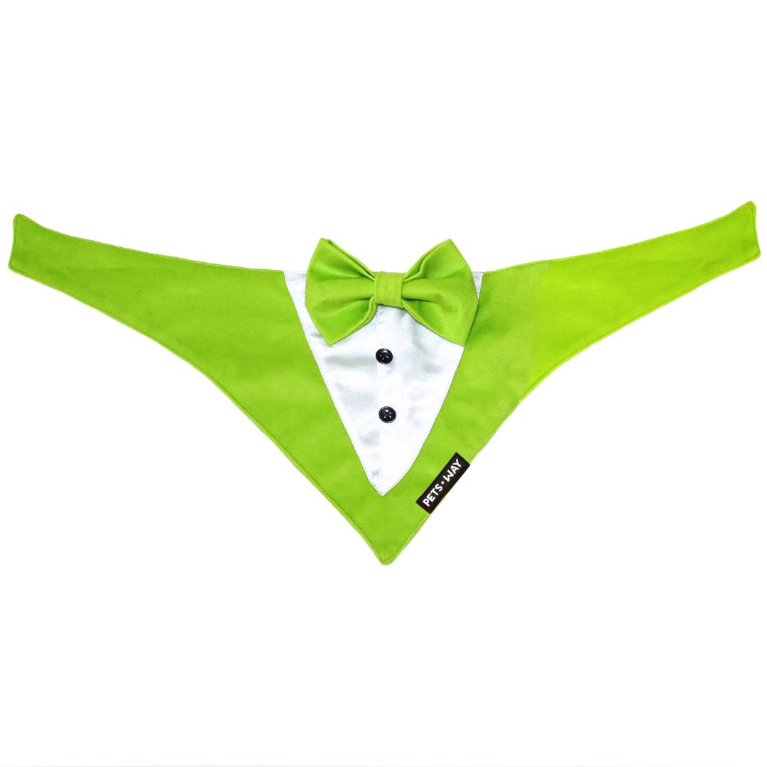 front of Neon Luxury Velvet Tuxedo-petsway