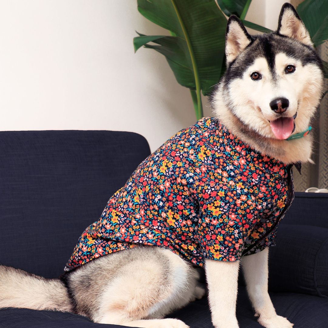 dog wear Night Bloom Dog Shirt