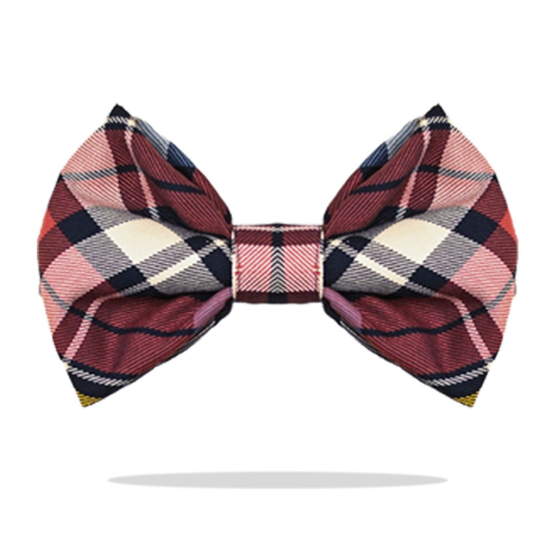 Norway Checks Bow Tie
