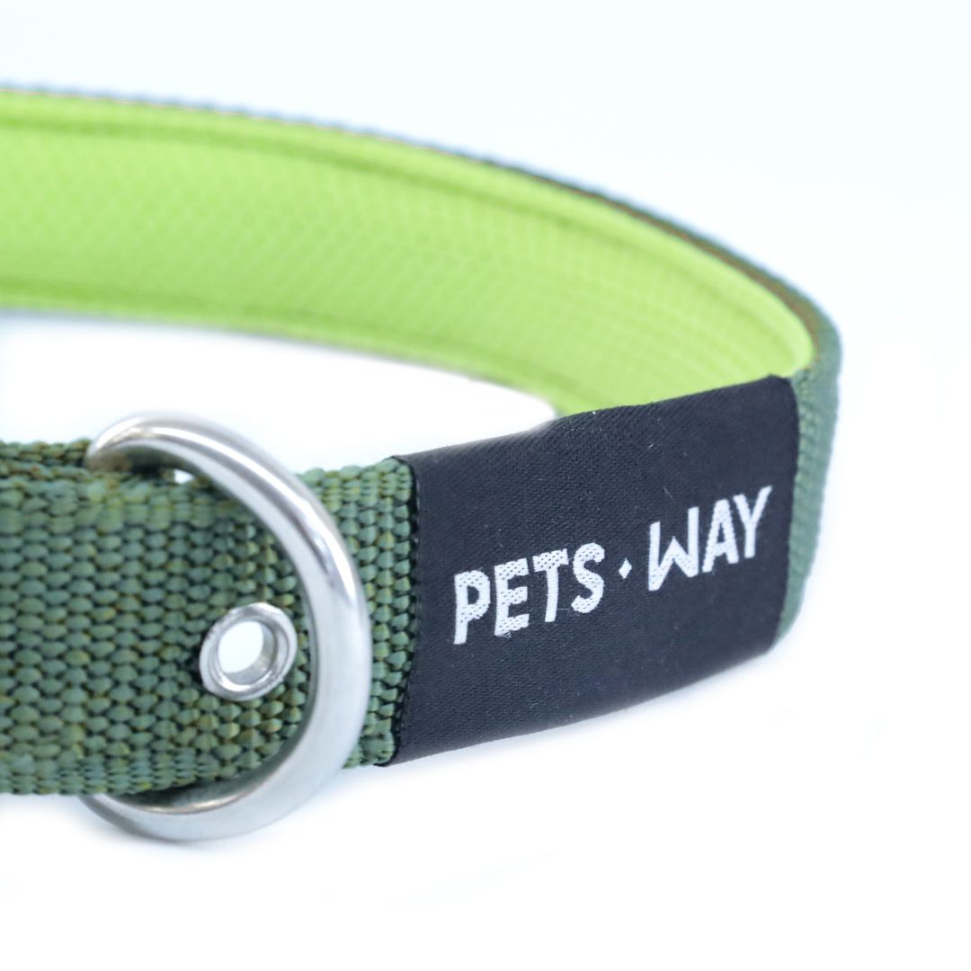Durable Dog Collar-petsway
