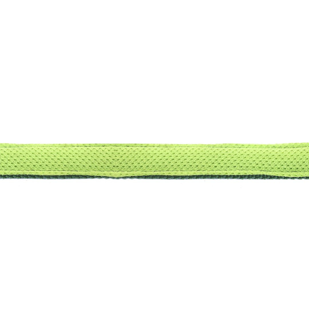 Green dog leash  Olive Everyday Dog Leash-petsway