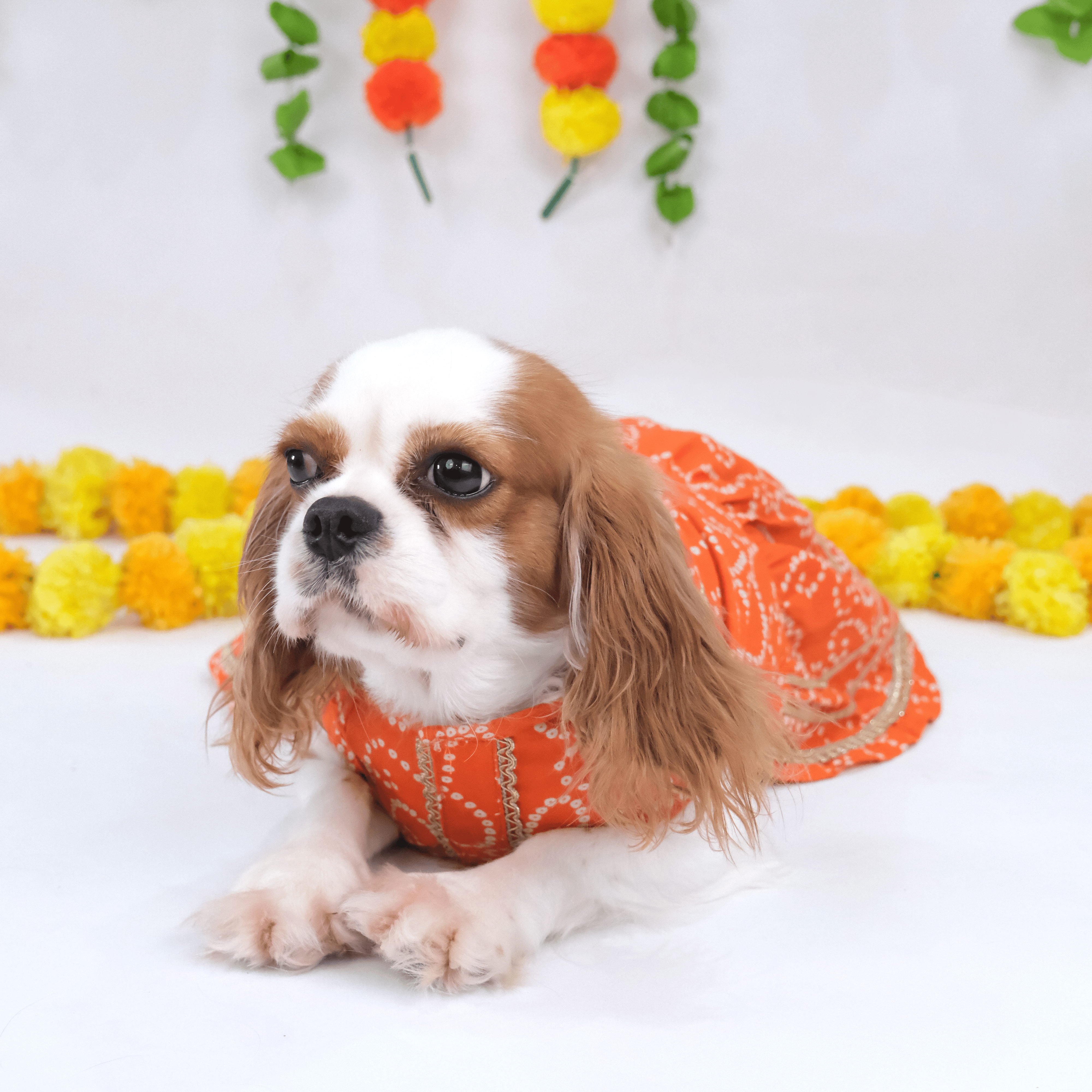 Saffron Bandhani Cotton Dress