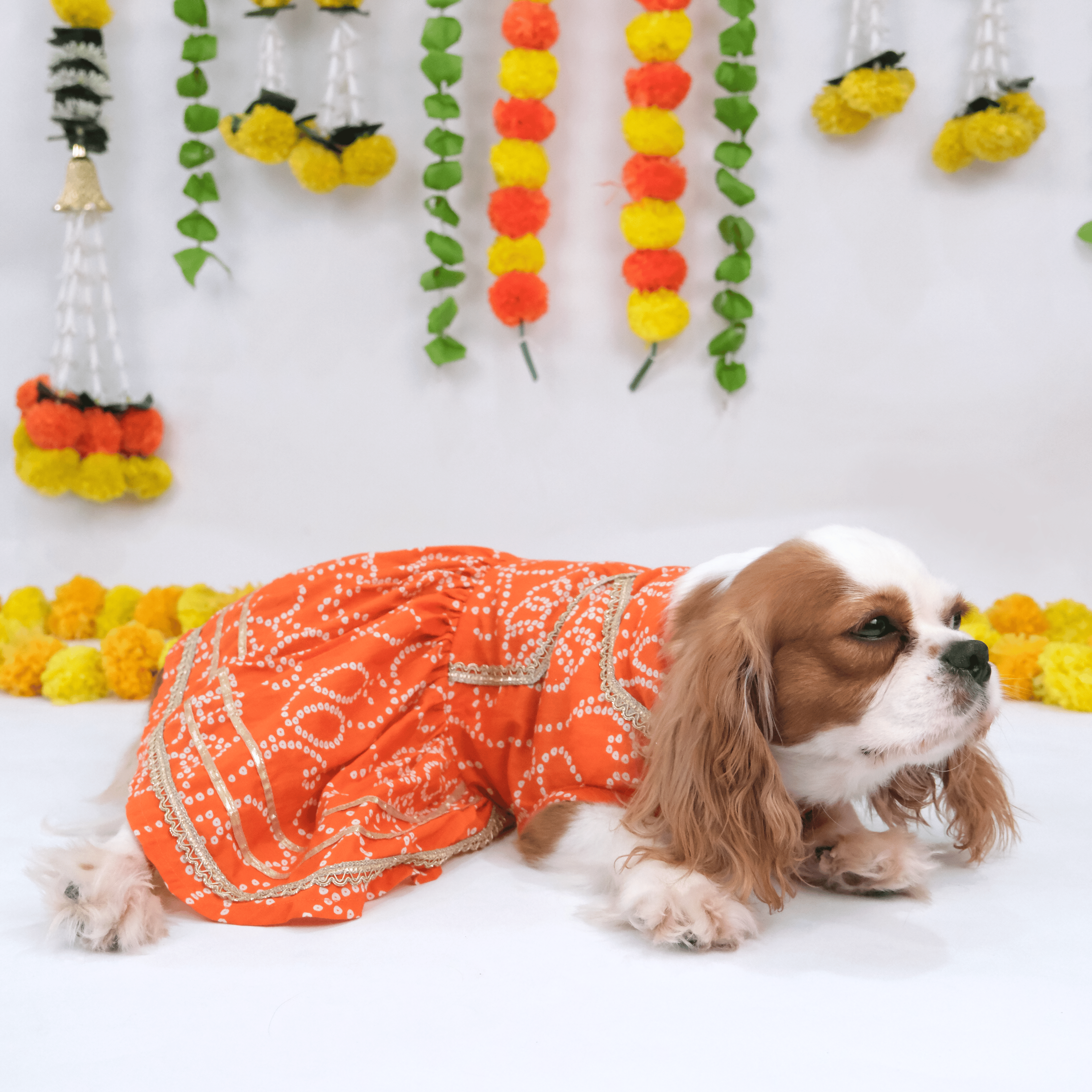 Saffron Bandhani Cotton Dress