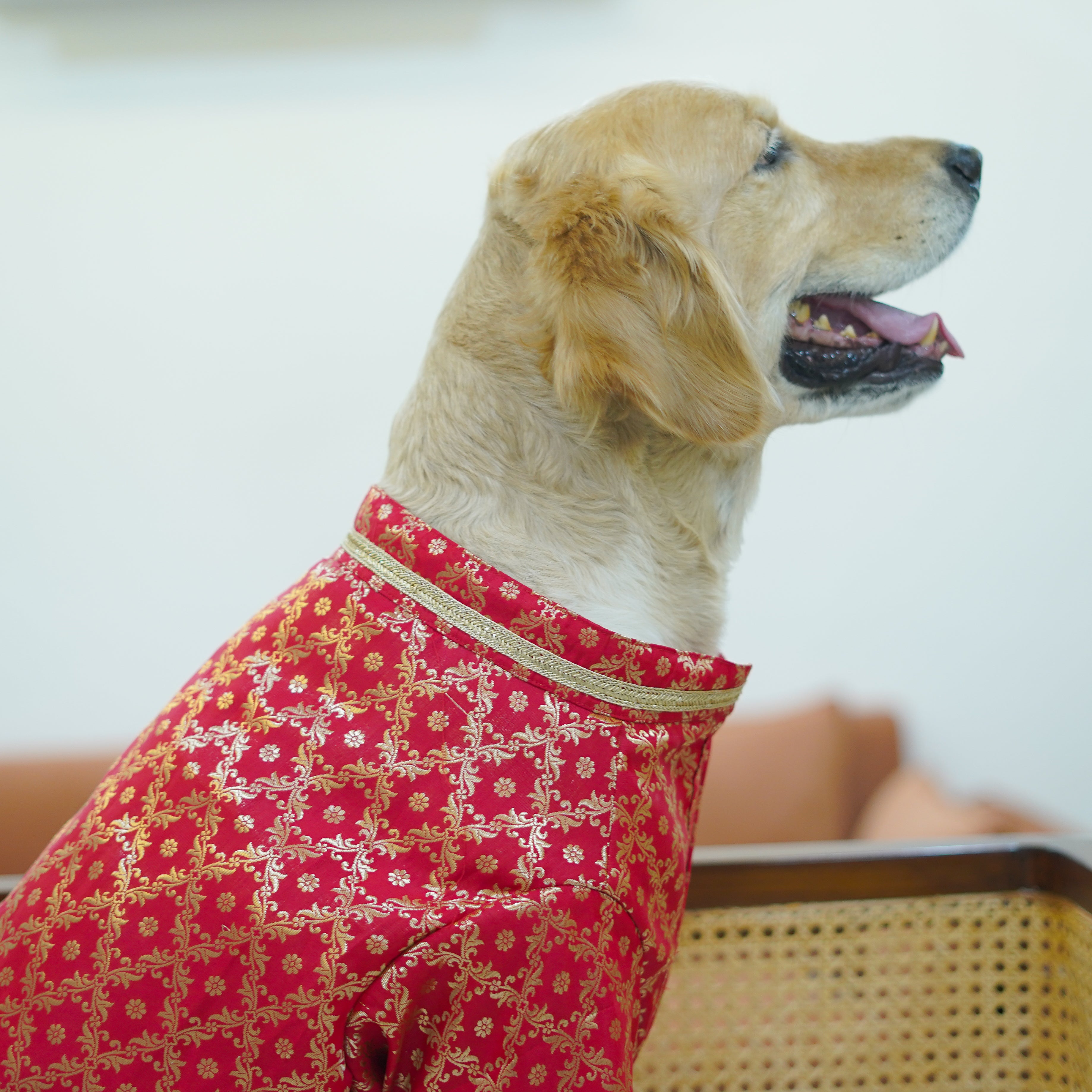 Pataka - Red Dog kurta