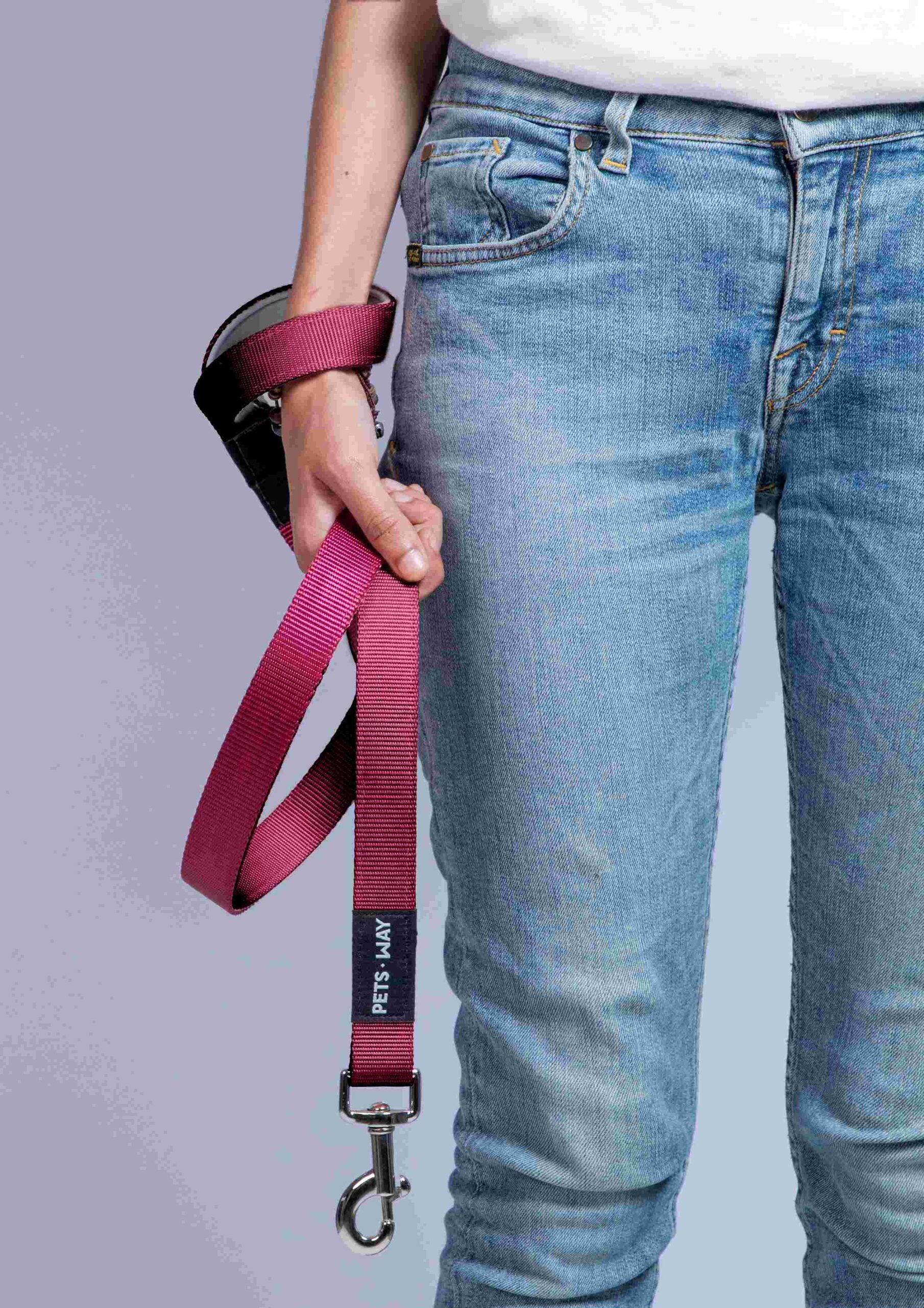 Wine Dog Collar Leash Set