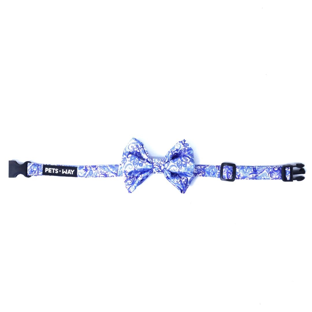 front side of Paisley Bow Tie-petsway