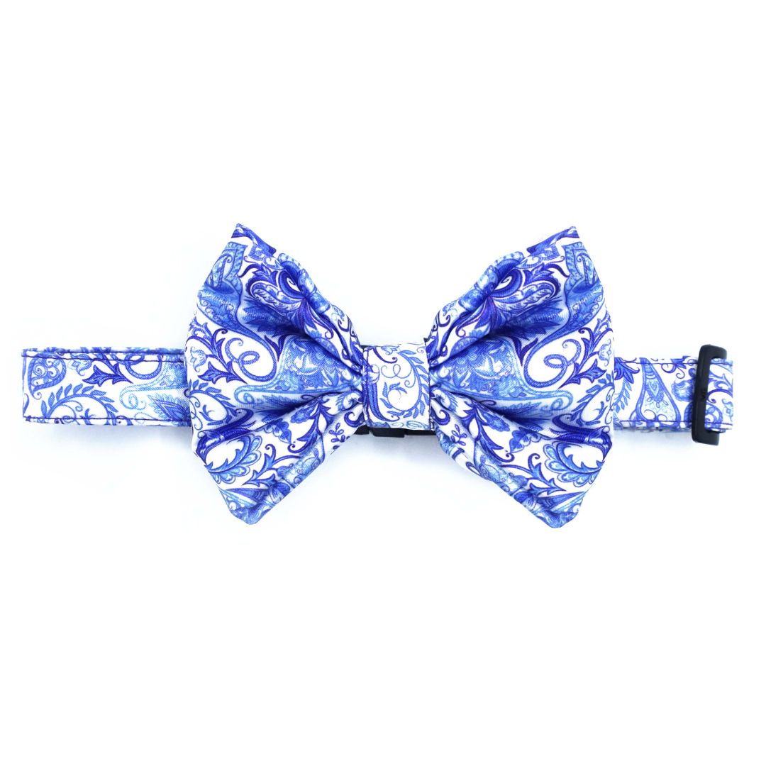 full size image of Paisley Bow Tie-petsway