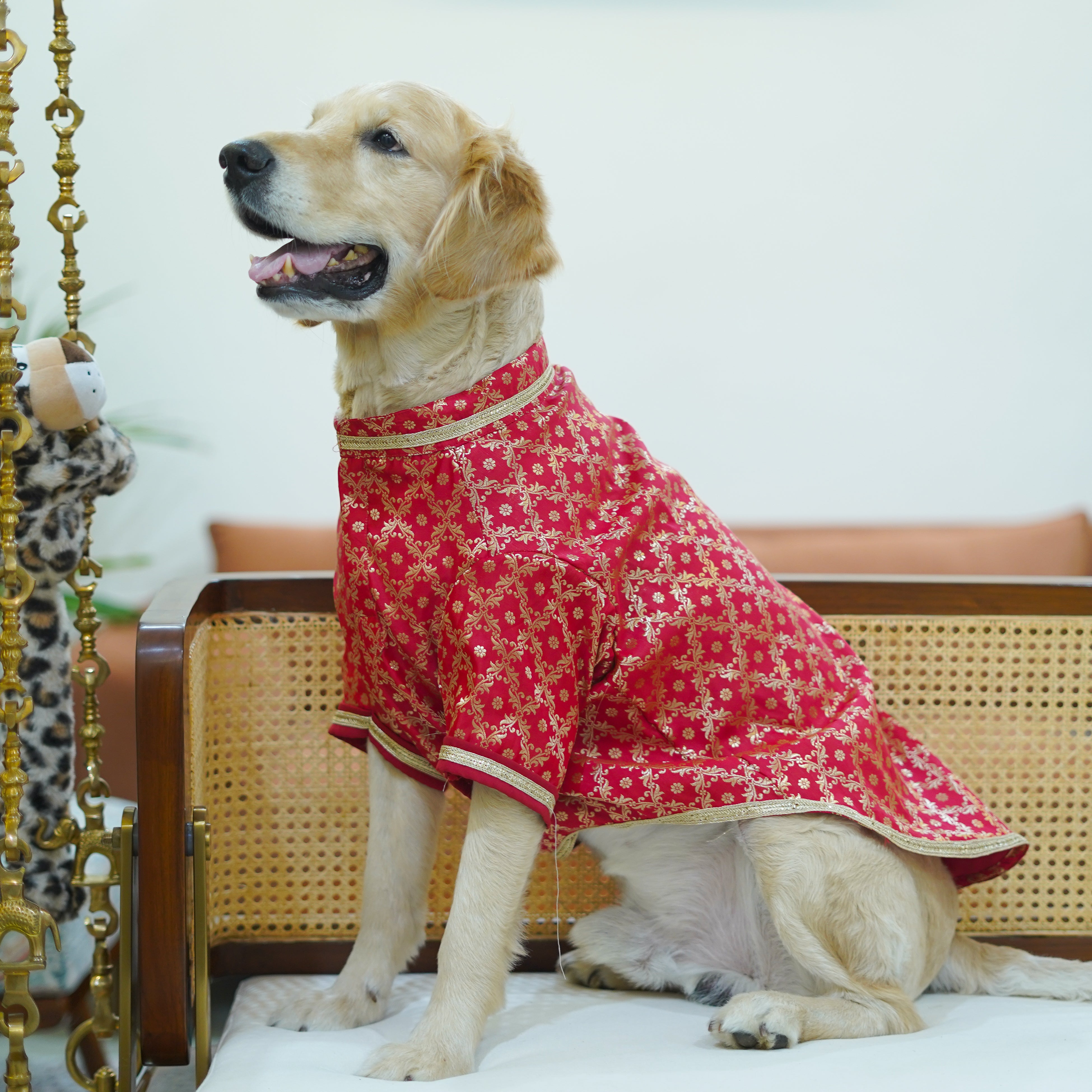 Pataka & Bandhani Dog kurta Combo