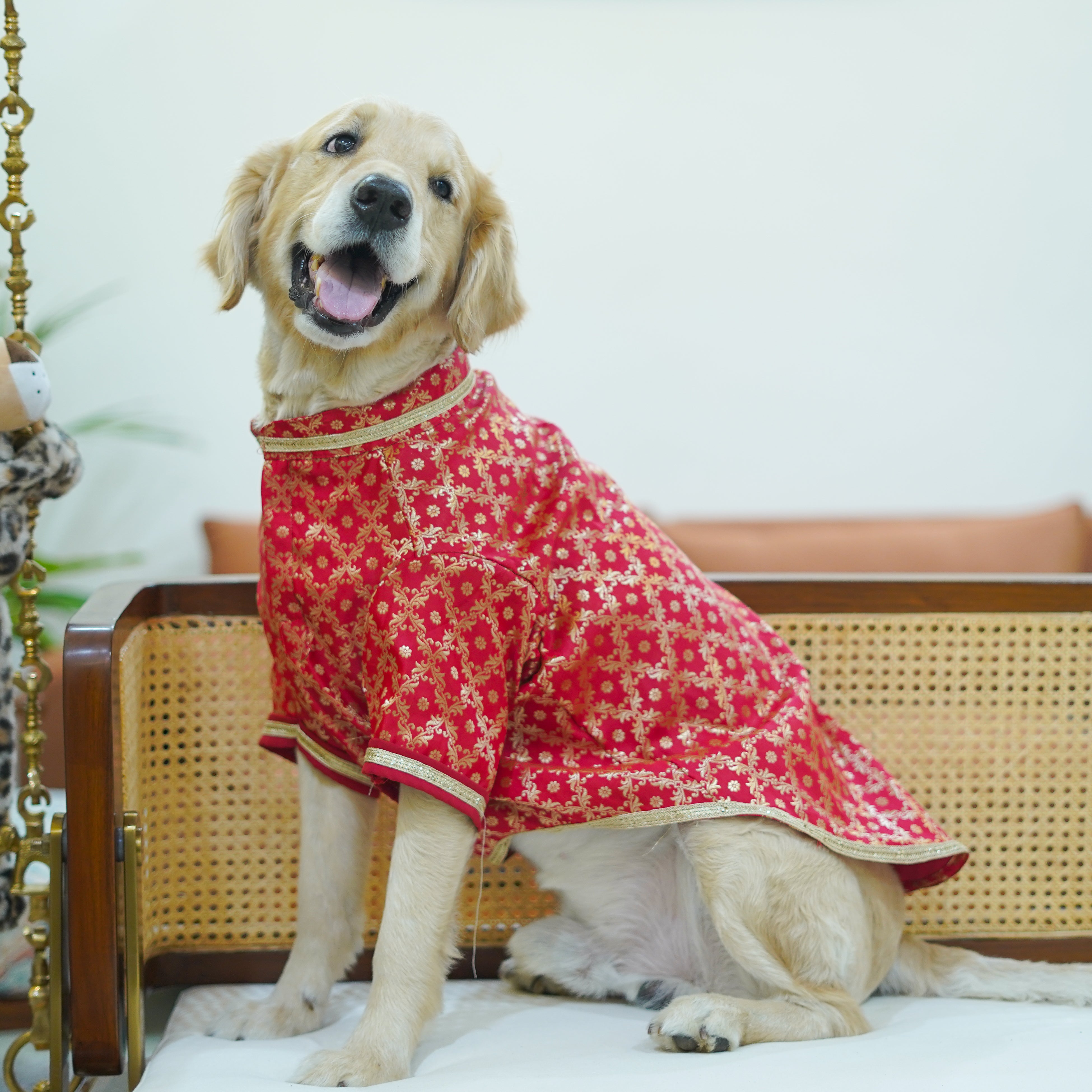 Pataka - Red Dog kurta
