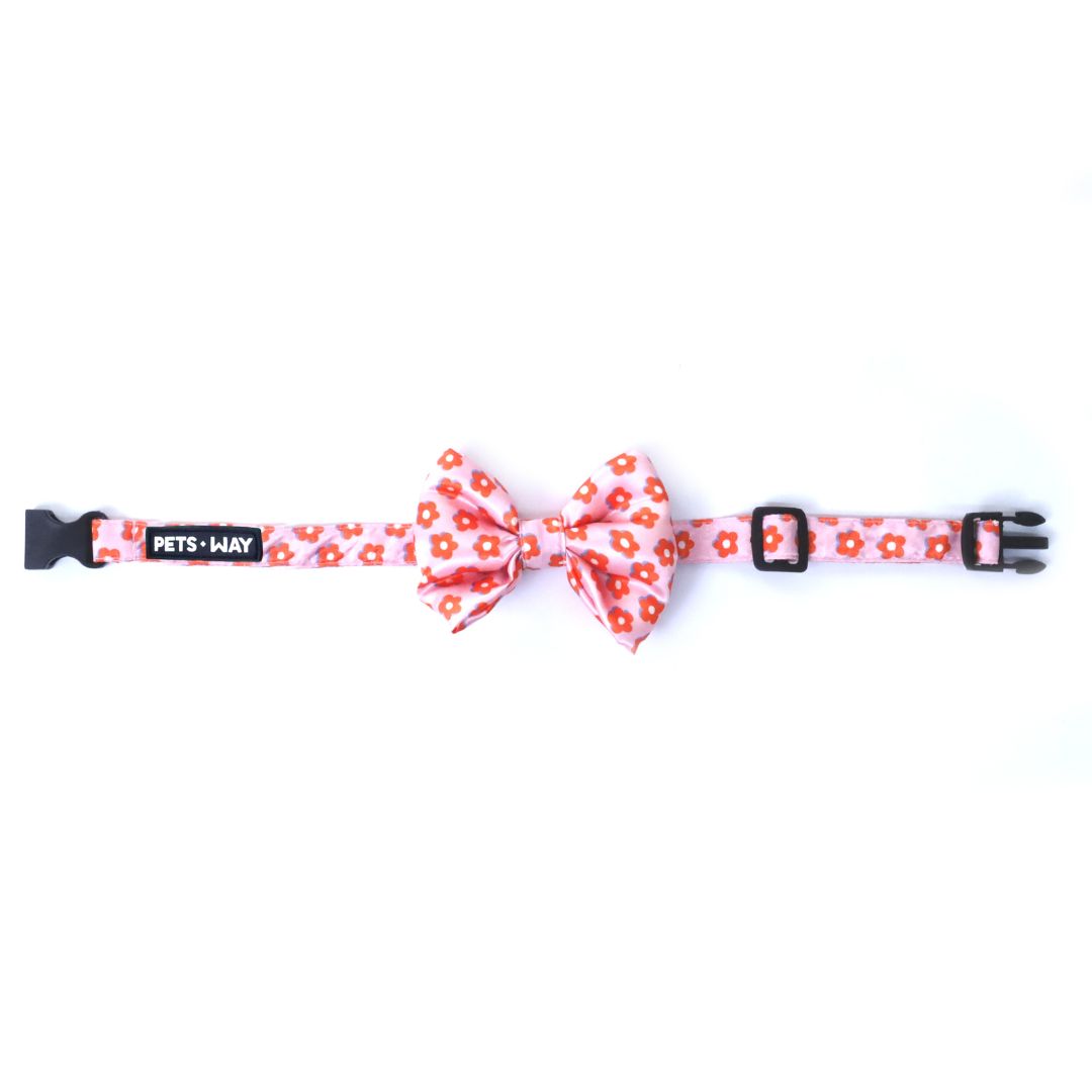 front of Pawfect Flower-Bow Tie-petsway