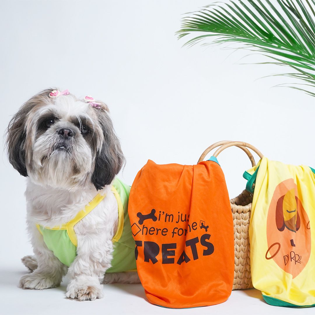 Pawfect Vest Combo -petsway