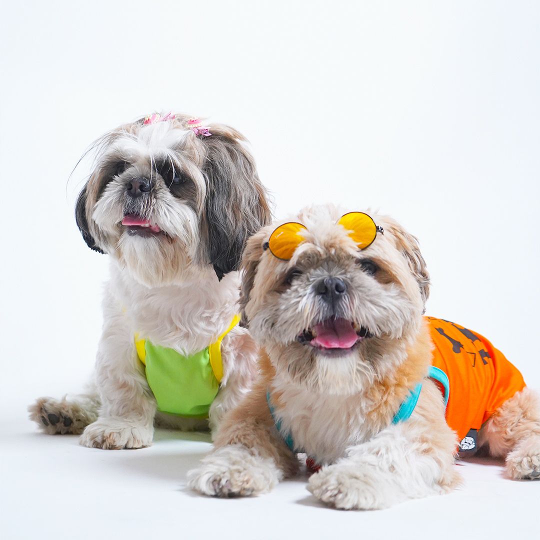 Vest Combo Pack-petsway