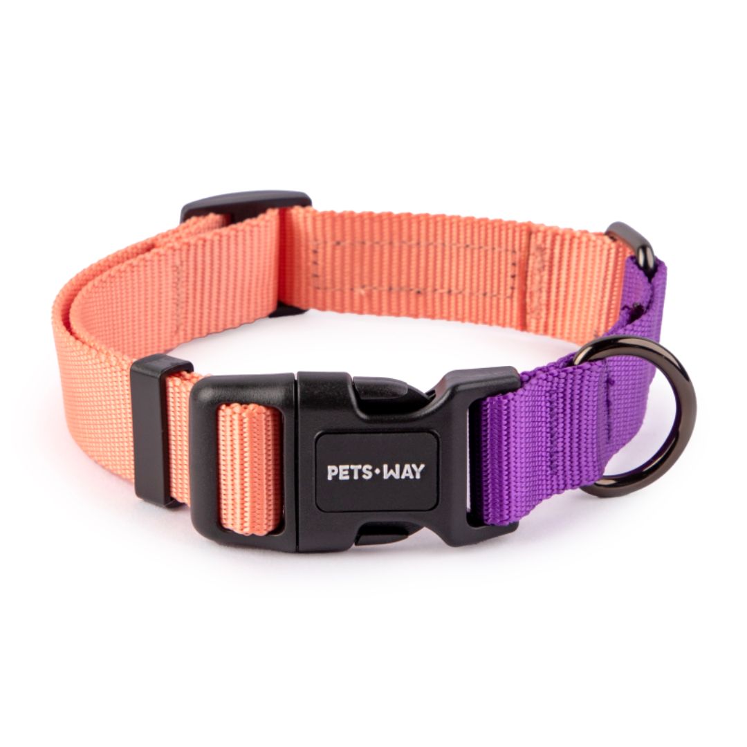 Peach & Amethyst Dual Color Dog Collar-petsway