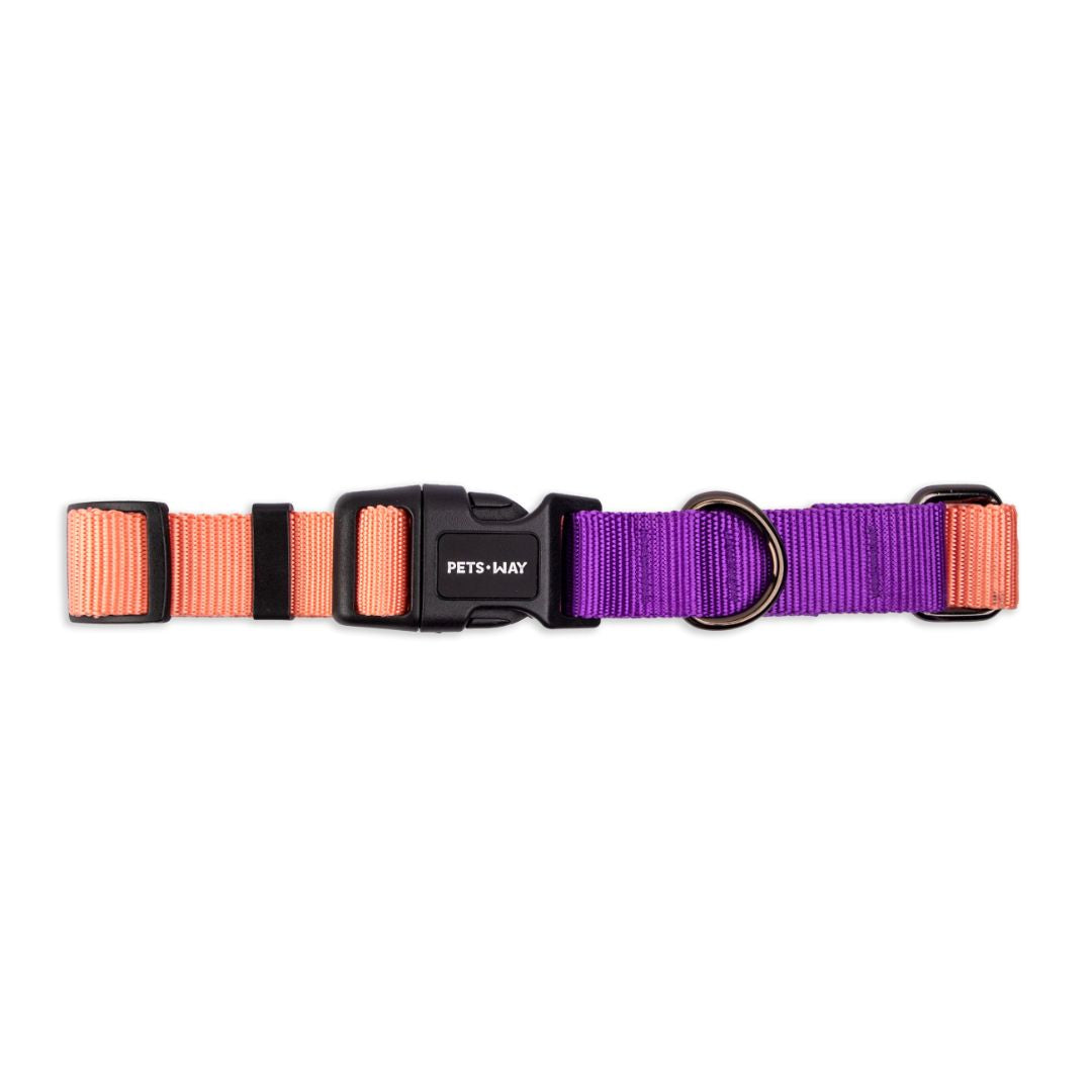 dual-tone dog collar-petsway