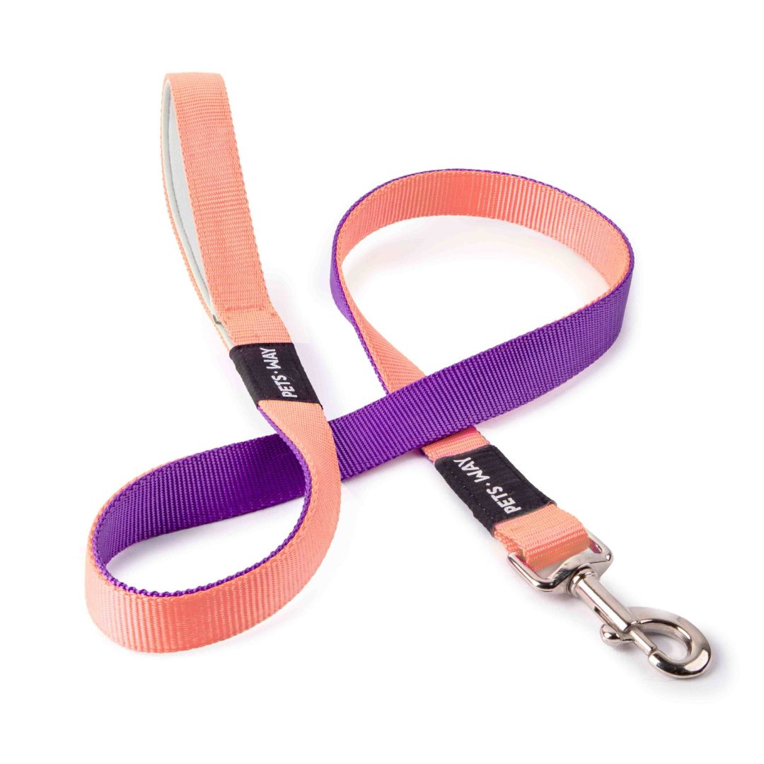 Peach & Amethyst Dual Color Dog Leash-petsway