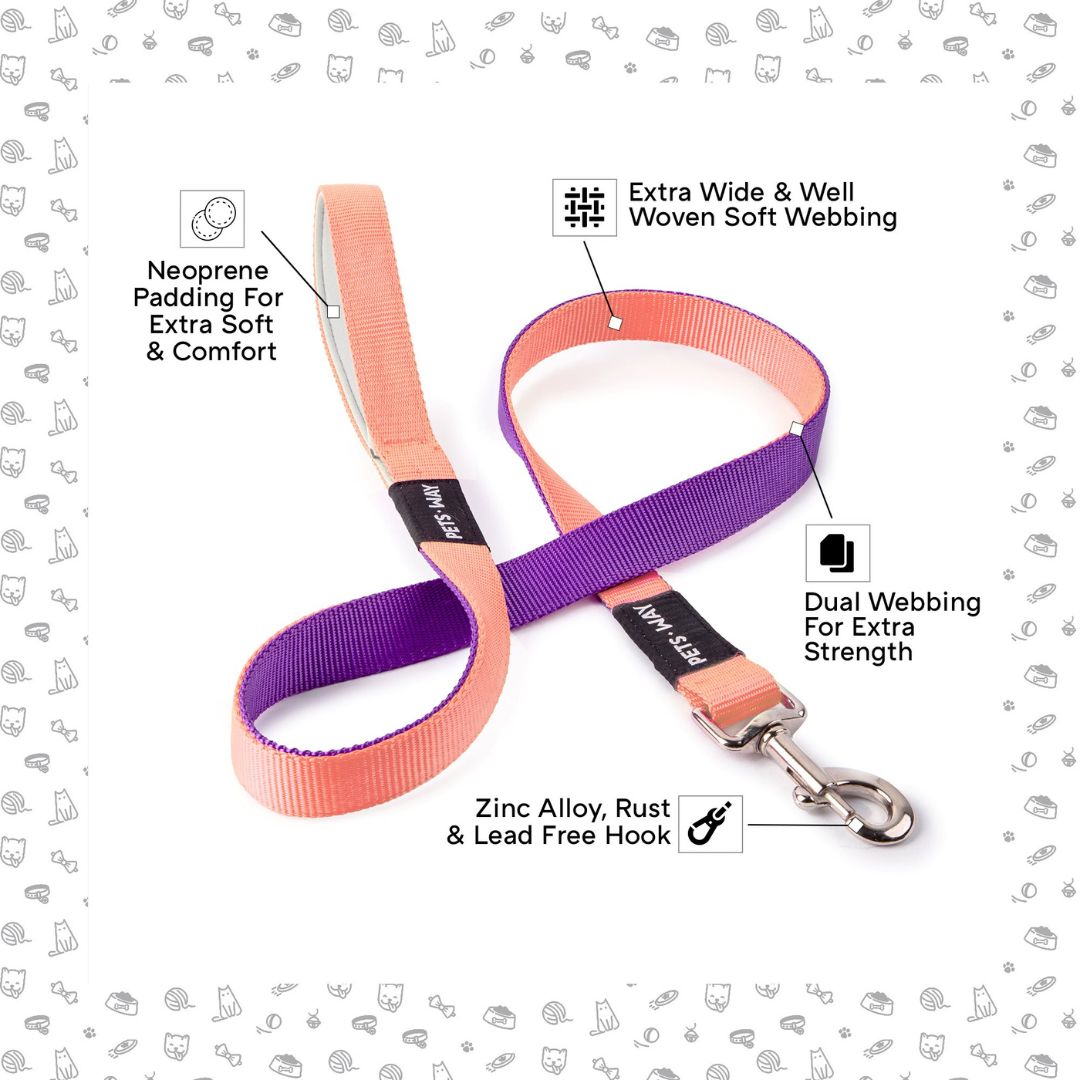 feature image of Peach & Amethyst Dual Color Dog Leash- petsway