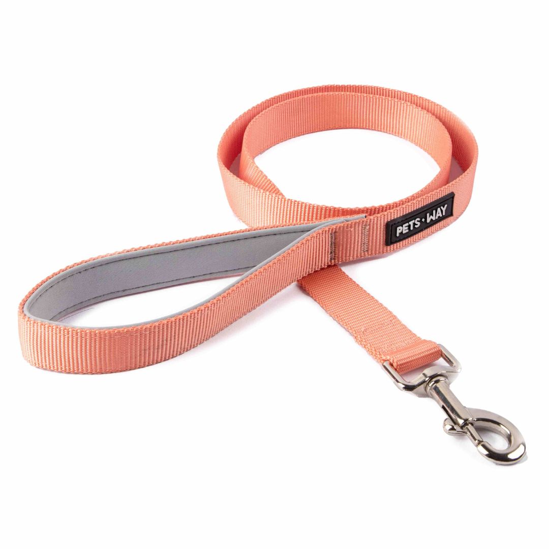 Peach Dog Leash-petsway